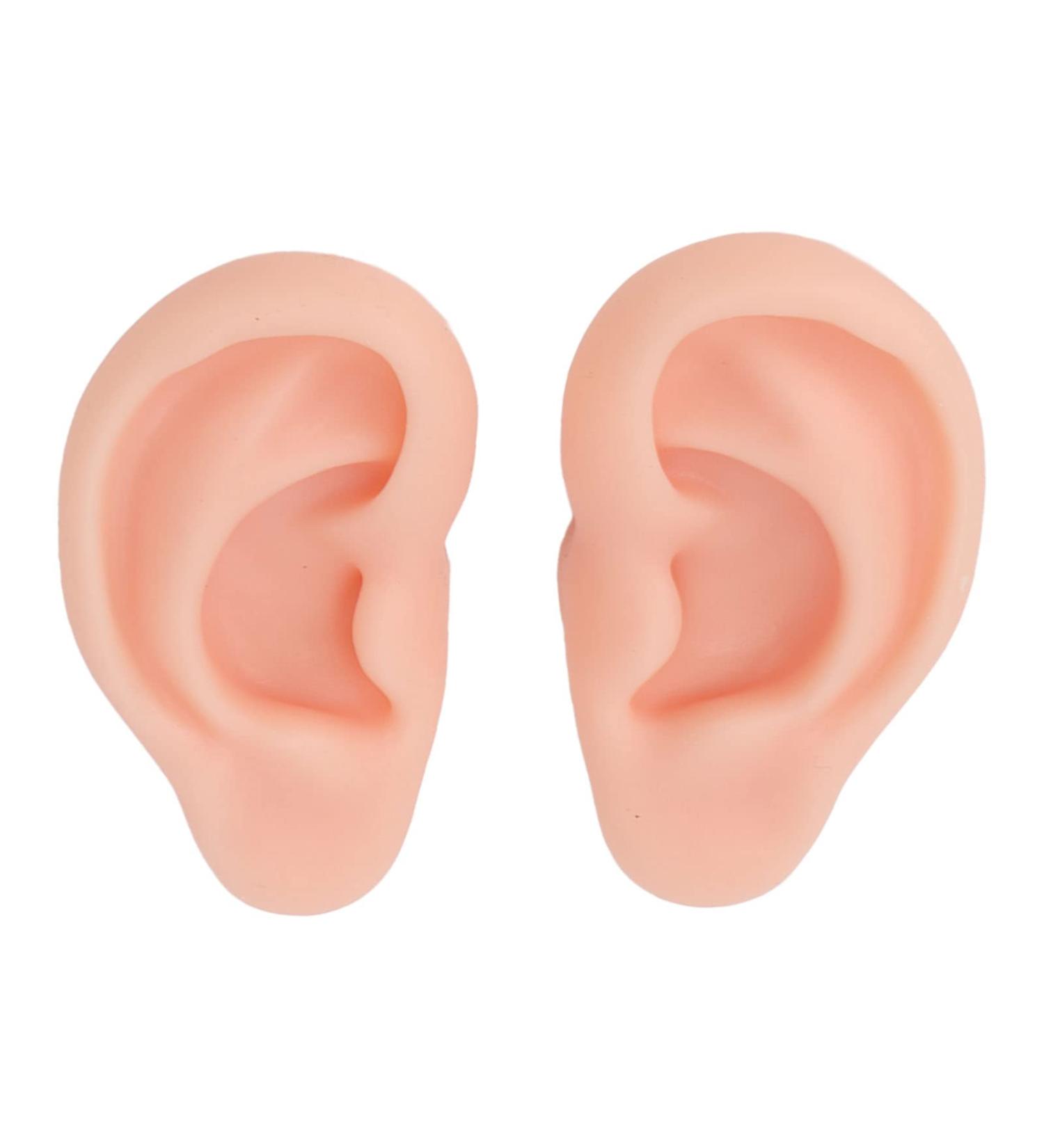 Soft Silicone Ear Model for Beginners - Realistic Ear Piercing Practice & Earring Display Prop (Light Skin) - International Shipping Available - Buy Online on GoSupps.com