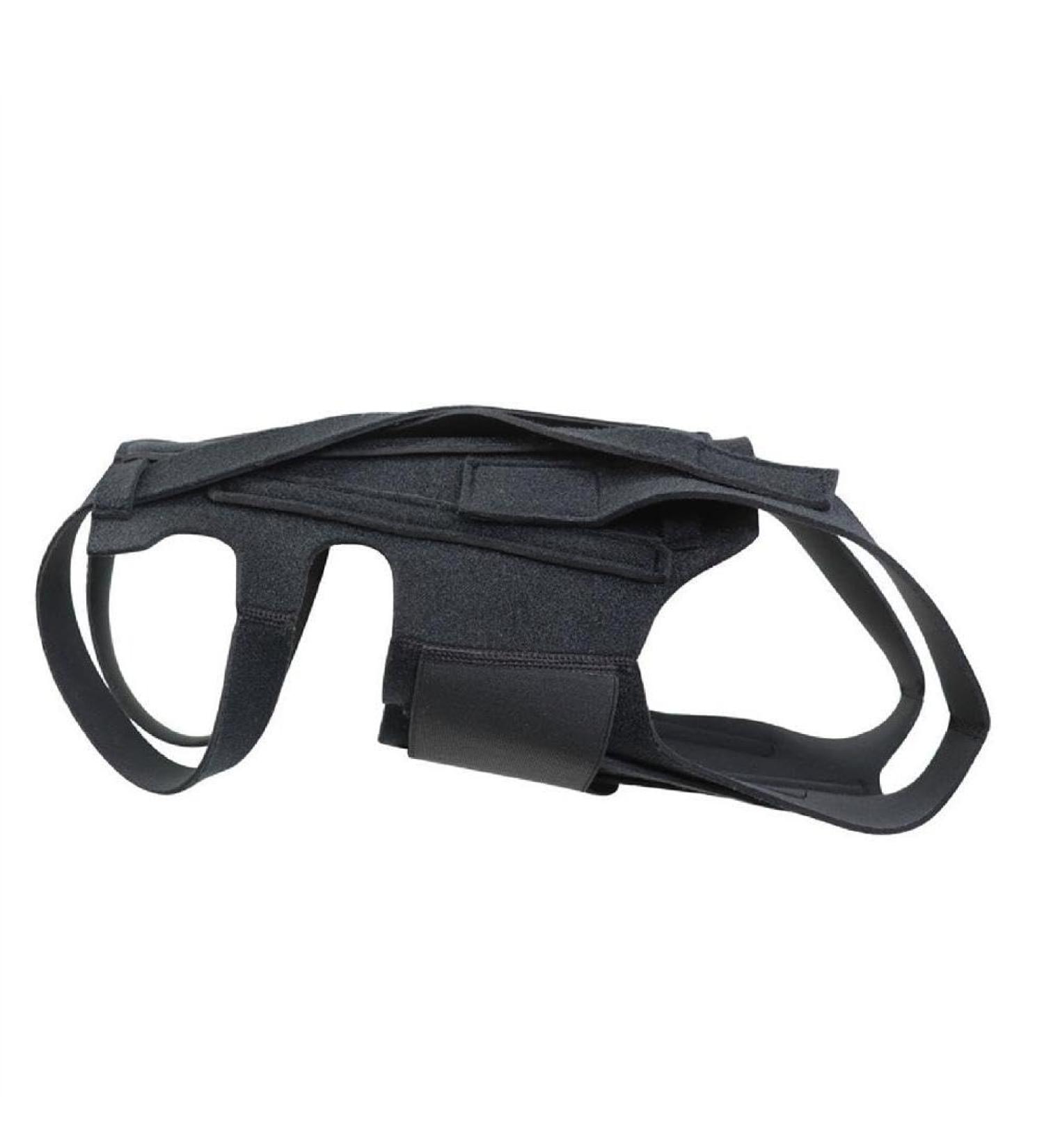 Dog Back Support Ease Discomfort and Aid Healing Supporting Vest for Walking Supportive Dog Back Bracer No Pull Assist Dog Back Bracer Large - Buy Online on GoSupps.com