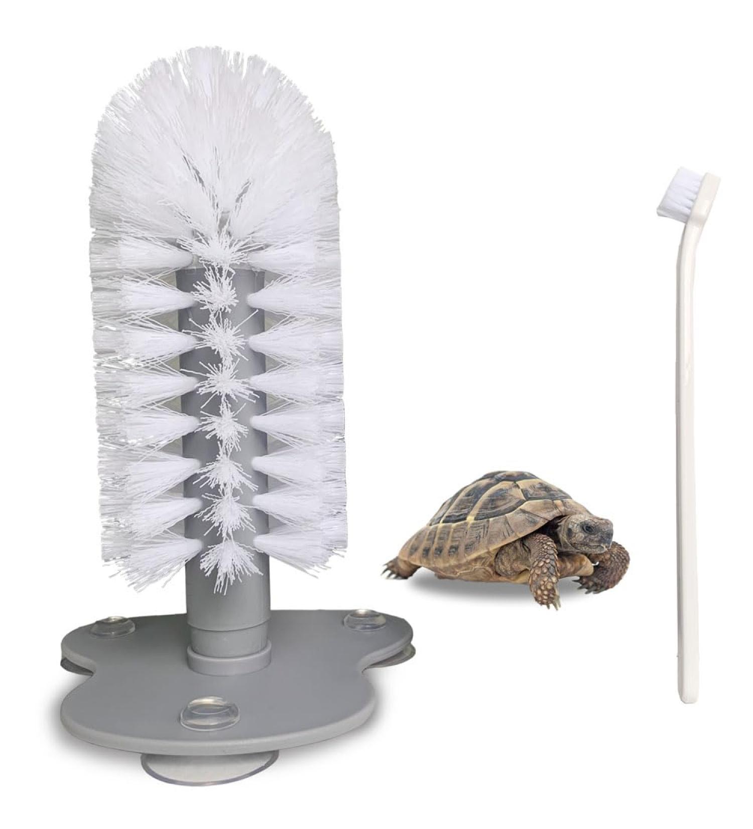 Turtle Brush with Suction Cup Turtle Shell Cleaning Brush Mini Sea Turtle Shell Removal Mud Care Brush Pet Turtle Supplies with Small Pet Toothbrush - Buy Online on GoSupps.com
