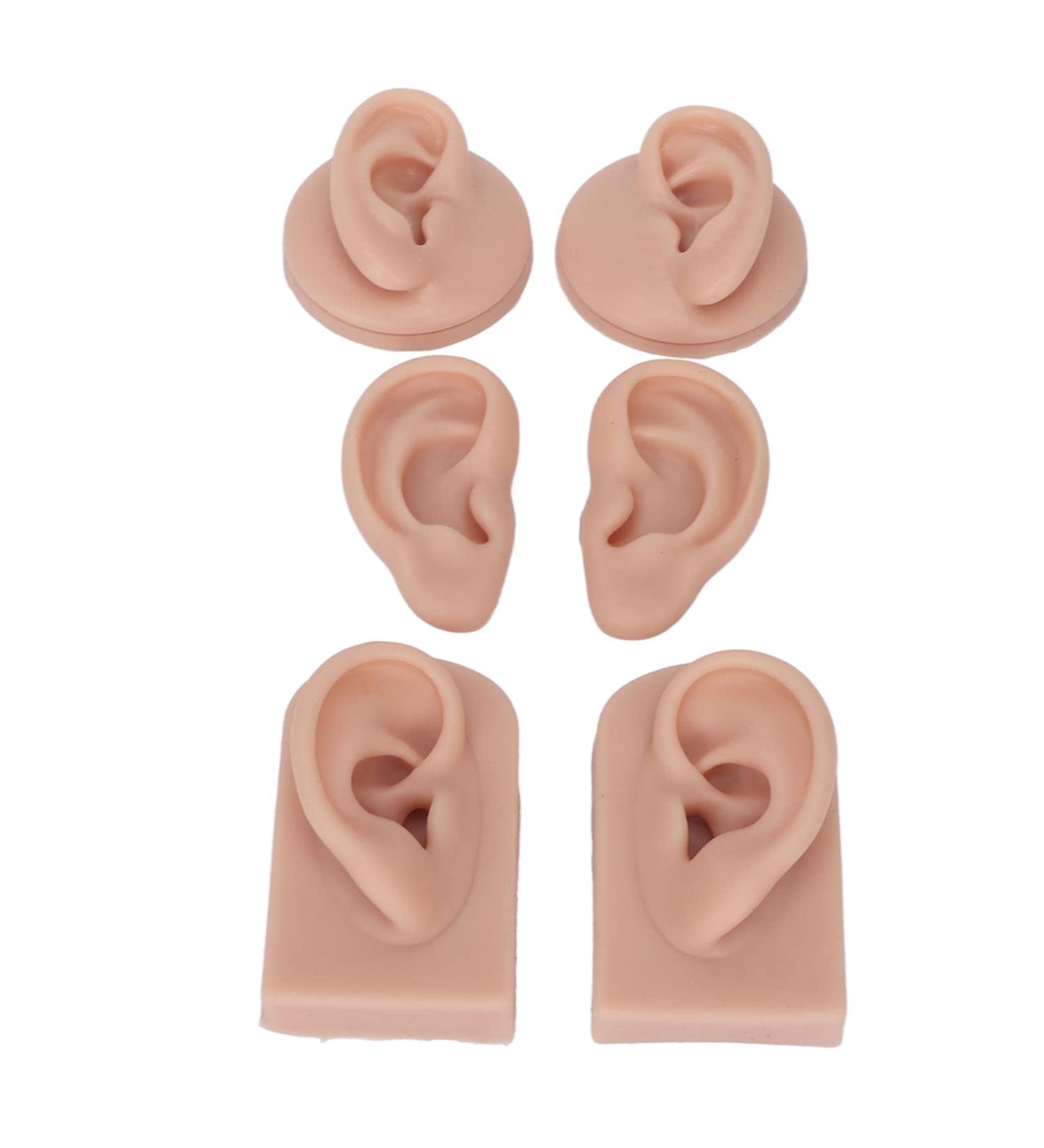 3 Pairs Silicone Ear Model, Soft Flexible Simulation Human Ear Model for Jewelry Display, 3 Colors Practical Piercing Practice Tool for Beginners, Multipurpose Fake Ear for(Medium Skin Color) - Buy Online on GoSupps.com