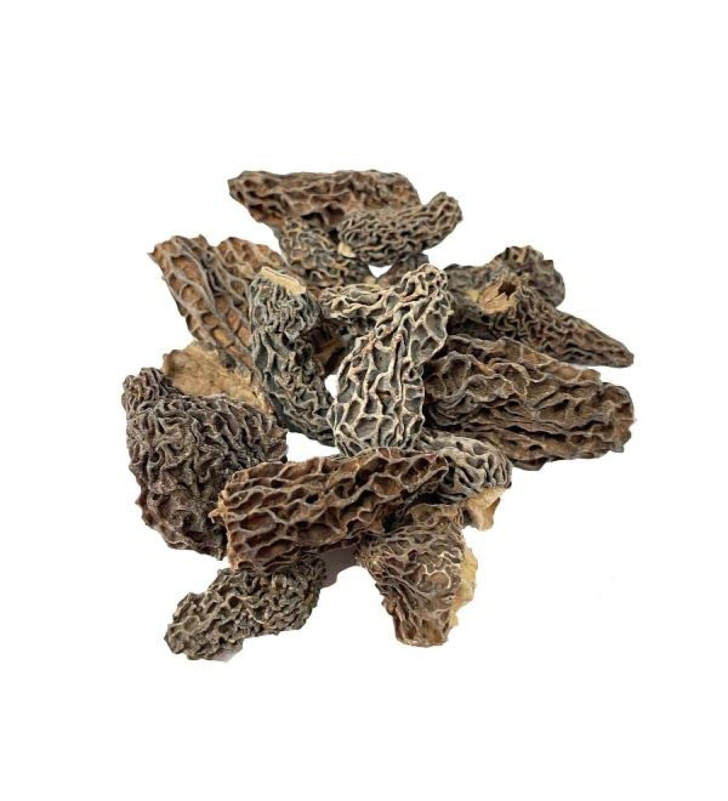 Giant Morel Mushrooms Dried Extra Grade (6-8cm) 25g