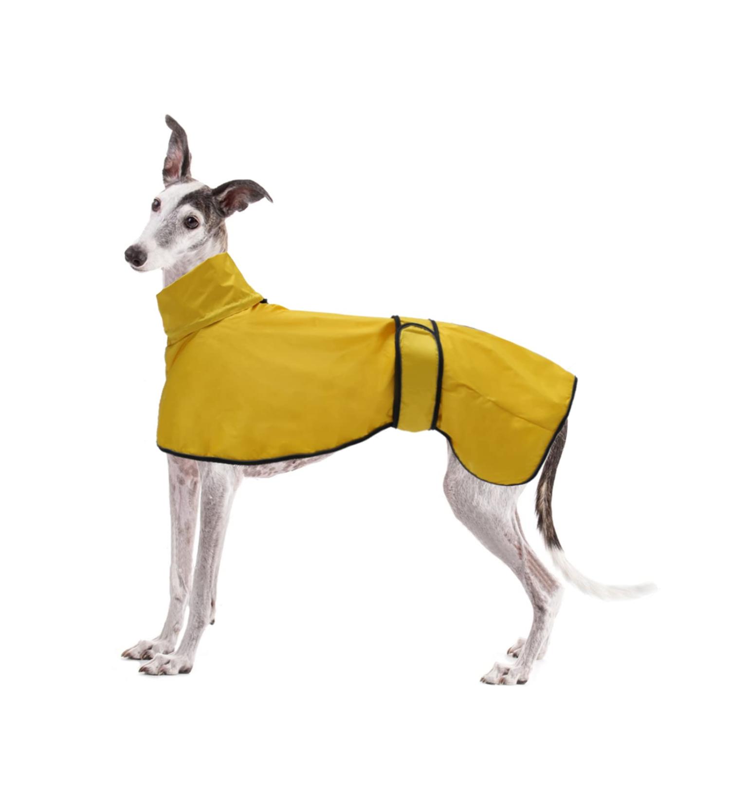 Geyecete Greyhound Light Dog Jacket - Waterproof Adjustable Wind Coat for Greyhounds & Whippets - Reflective Poncho for Dogs (Yellow Size L - Back Length: 61-64cm) - Buy Online on GoSupps.com