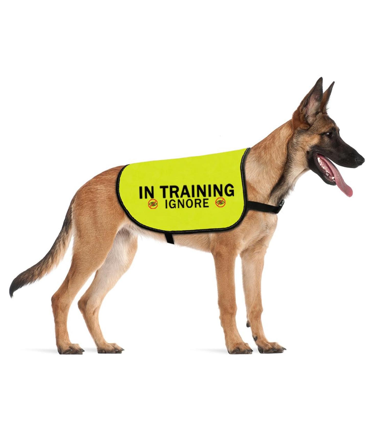 Buy CENWA Dog in Training Vest - Safety Jacket for Nervous & Scared Dogs | International Shipping - Buy Online on GoSupps.com