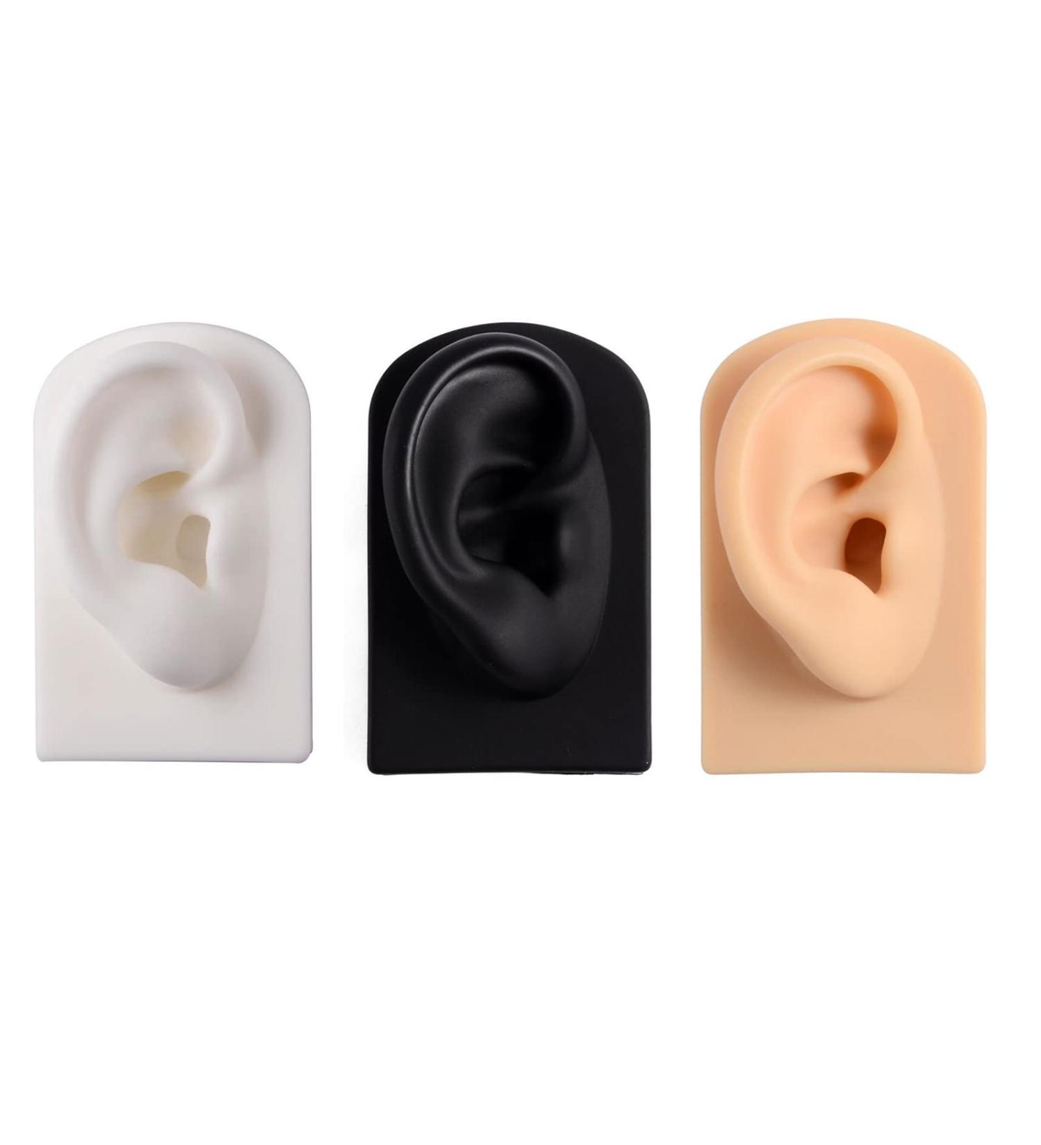 3 Pc Silicone Ear Model - Simulation Artificial Ear Model - for Hearing Aids Wearing & Ear Canal Products Display Right - Buy Online on GoSupps.com