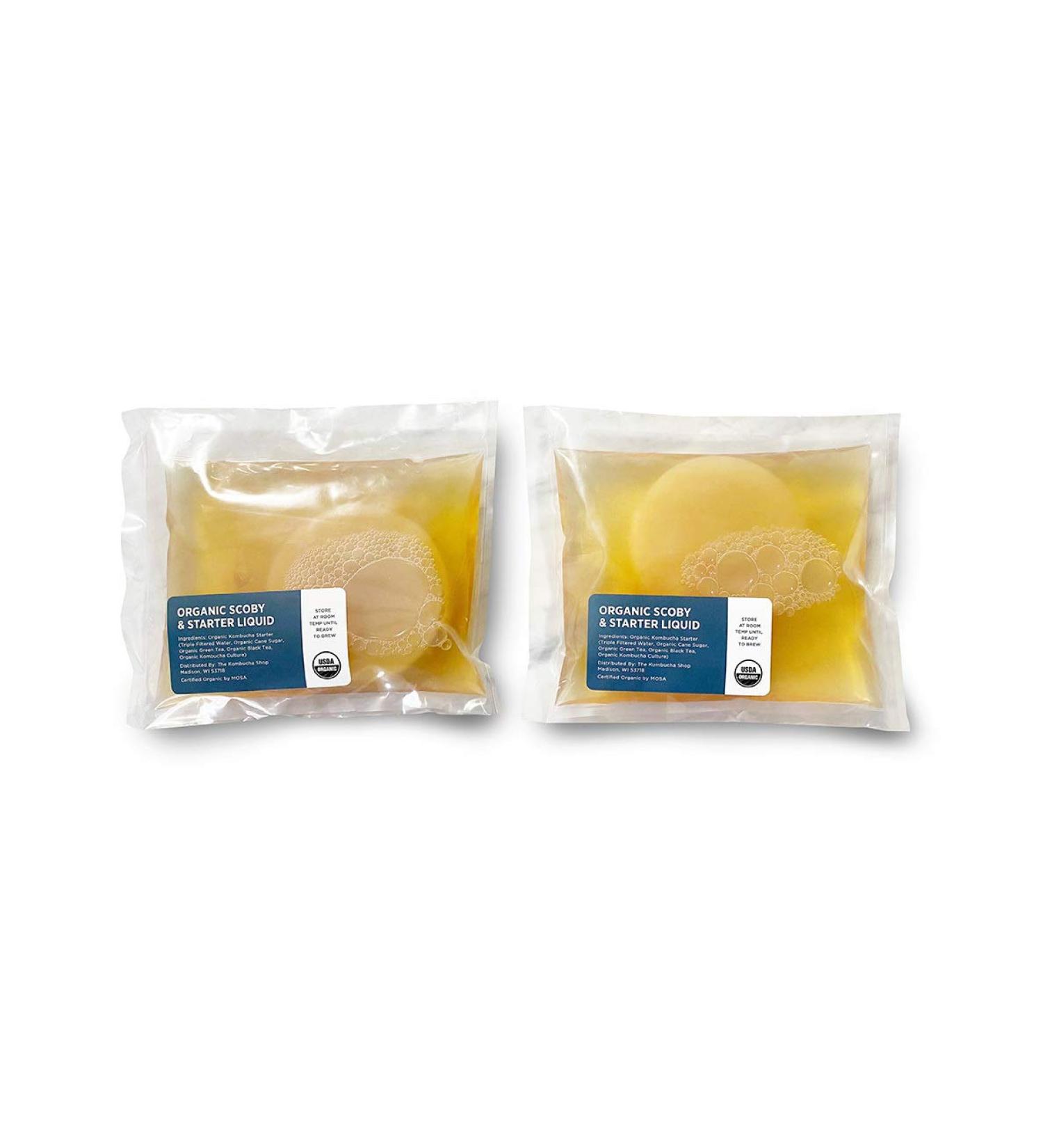 Organic SCOBY 2-Pack for Brewing Kombucha Tea - Urban Kitchen 1lb (Pack of 2) - Buy Online on GoSupps.com
