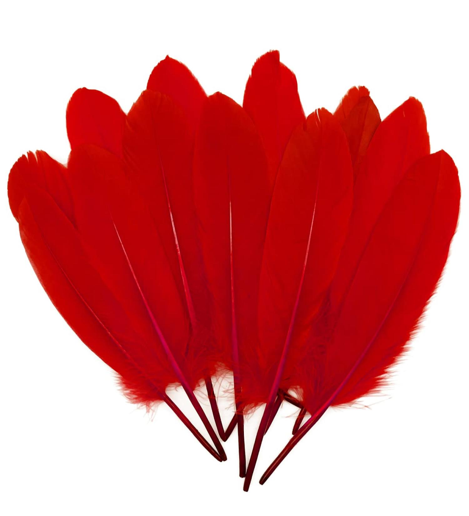 100pcs Red Goose Feathers 6-8 Inch - Ideal for Crafts, Wedding Decor, Clothing Accessories - Buy Online on GoSupps.com