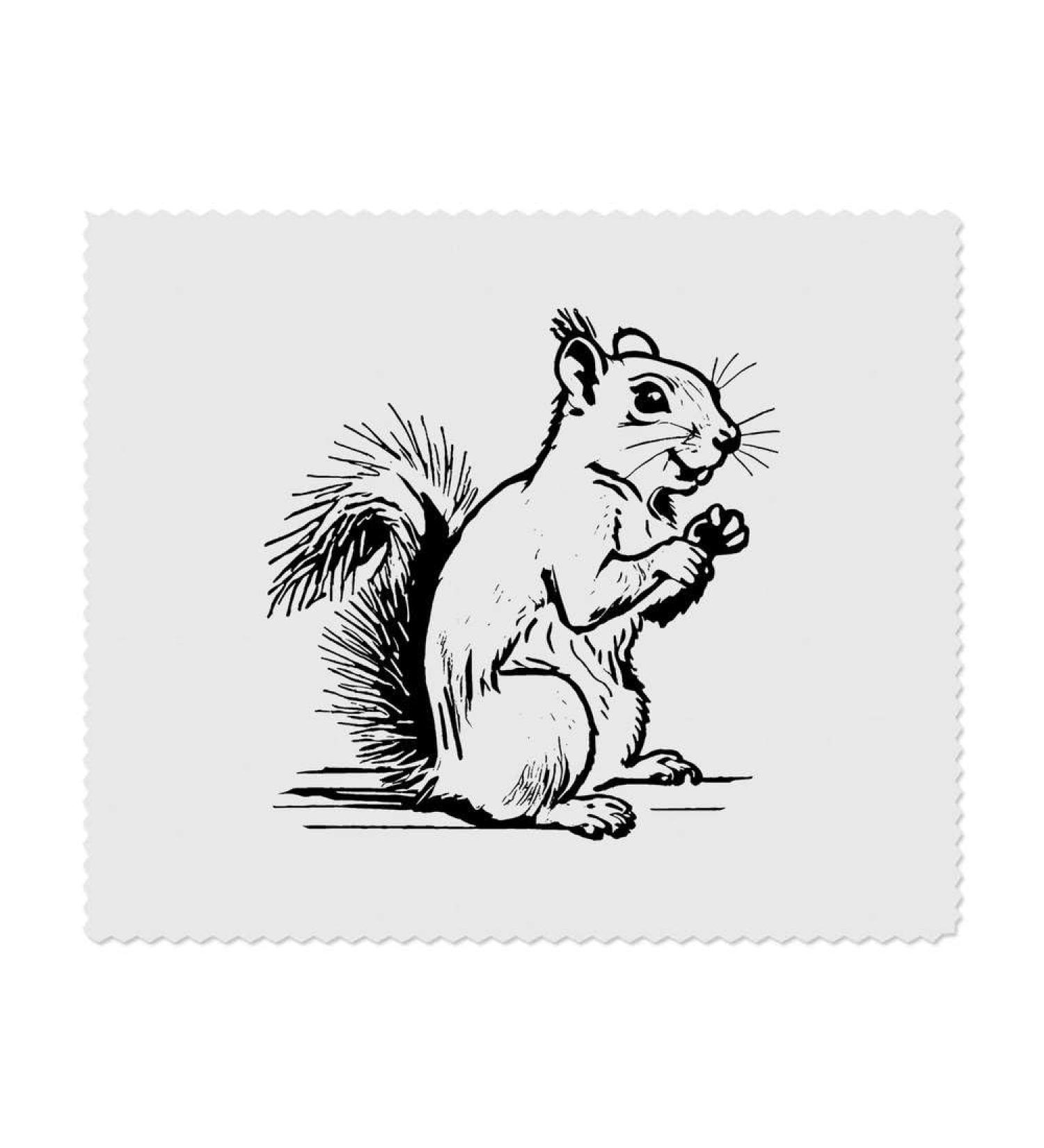 Buy 2 x Microfiber Cleaning Cloths Grey Squirrel | Eco-Friendly Lint-Free & Durable - International Shipping Available - Buy Online on GoSupps.com