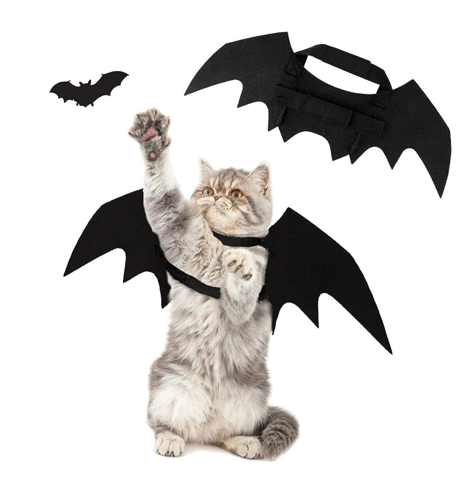 Shop Zoneyan Cat & Dog Halloween Costumes | Bat Wings Pet Costumes & Accessories - Buy Online on GoSupps.com
