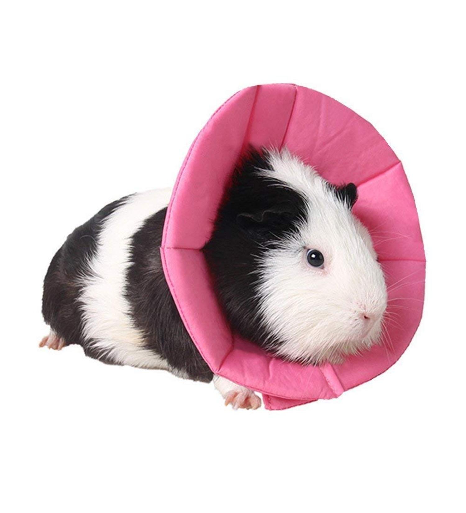 NashaFeiLi Elizabethan Pet Collar for Hamster & Chinchilla - Adjustable Comfortable Size M in Pink & Rose - Buy Online on GoSupps.com