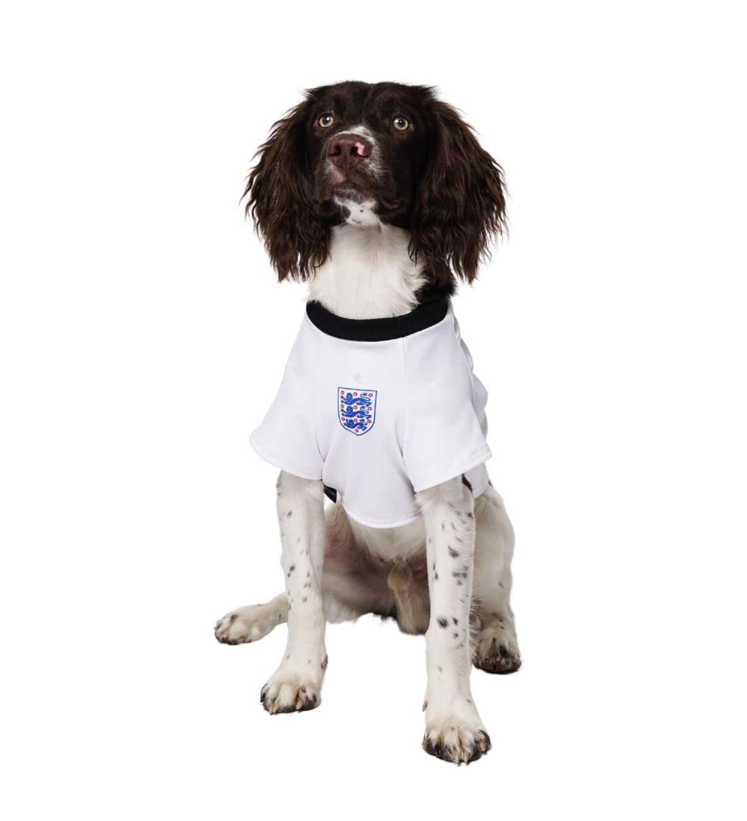 Dogsy Official Personalised England Dog Shirt | England Football Shirt for Dogs | Dog England Outfit | Dog England Football Kit | Licensed England Shirt | Dog Football Top (Medium) - Buy Online on GoSupps.com