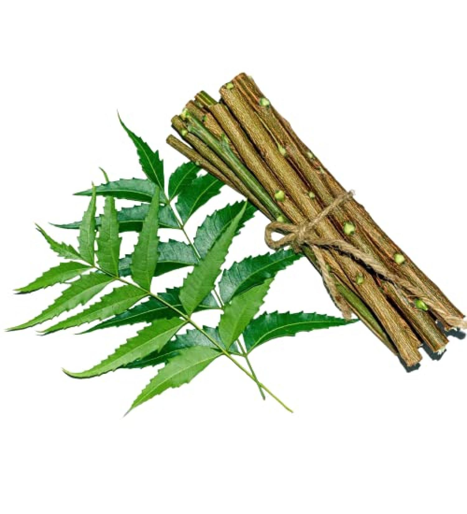 OMC Organic Neem Stick Datun Brush 10pcs - Natural Oral Care for Strong Teeth and No Germs - Buy Online on GoSupps.com