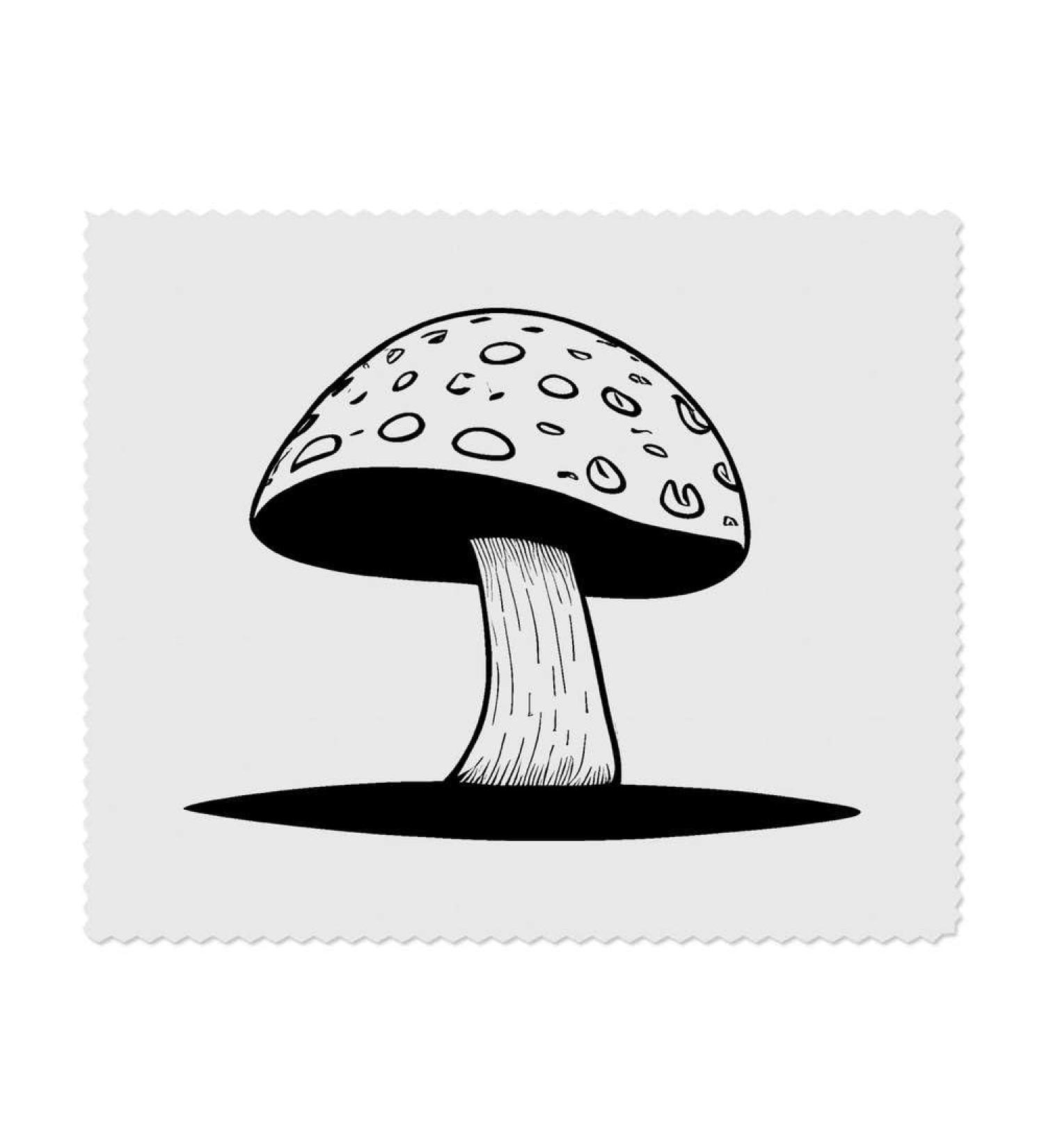 Buy 2x The Way of The Mushroom Microfibre Lens Cleaning Cloths for Superior Clarity | International Shipping Available - Buy Online on GoSupps.com