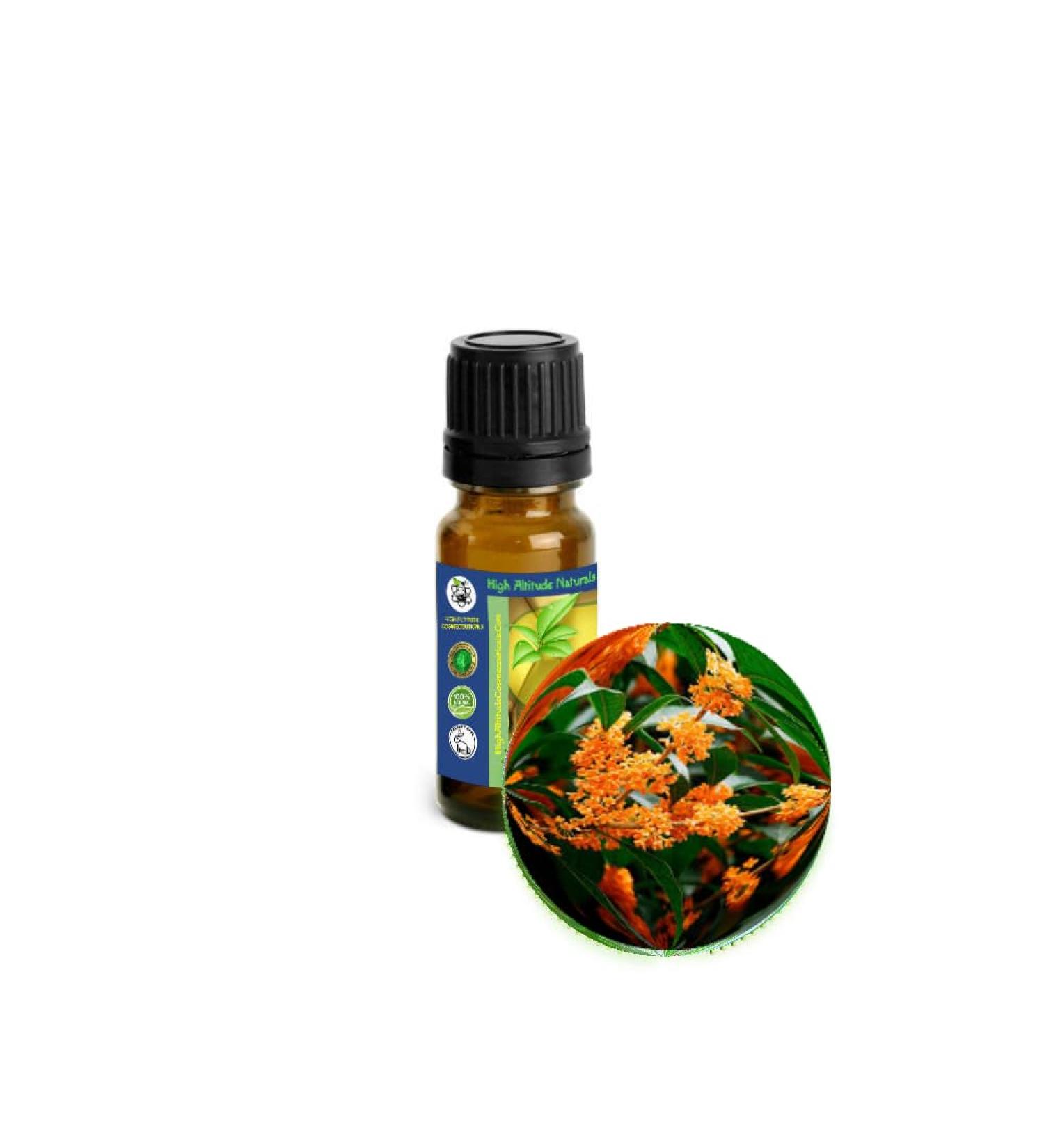Osmanthus Absolute Essential Oil (Osmanthus fragrans) Sweet Floral Spicy & Fruity Aroma Tea Olive Flower Absolute for Perfumery Aromatherapy Skincare & Massage - 10ml (1/3 oz)