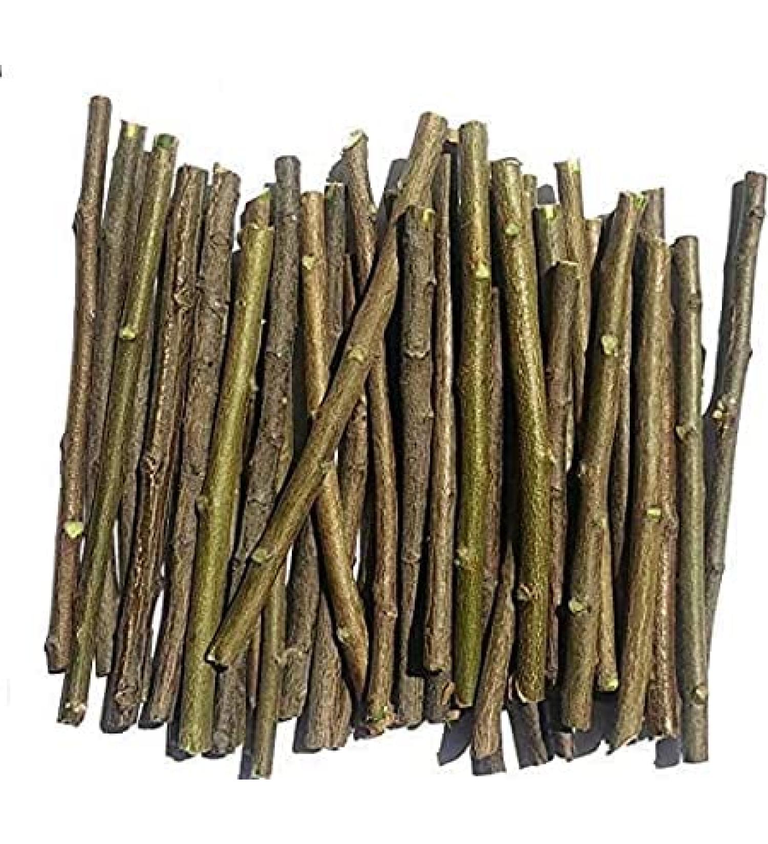 Shop Organic Neem Datun Toothbrush - Ayurvedic Chew Sticks for Fresh Breath & Toothache Relief (Pack of 20 - Buy Online on GoSupps.com