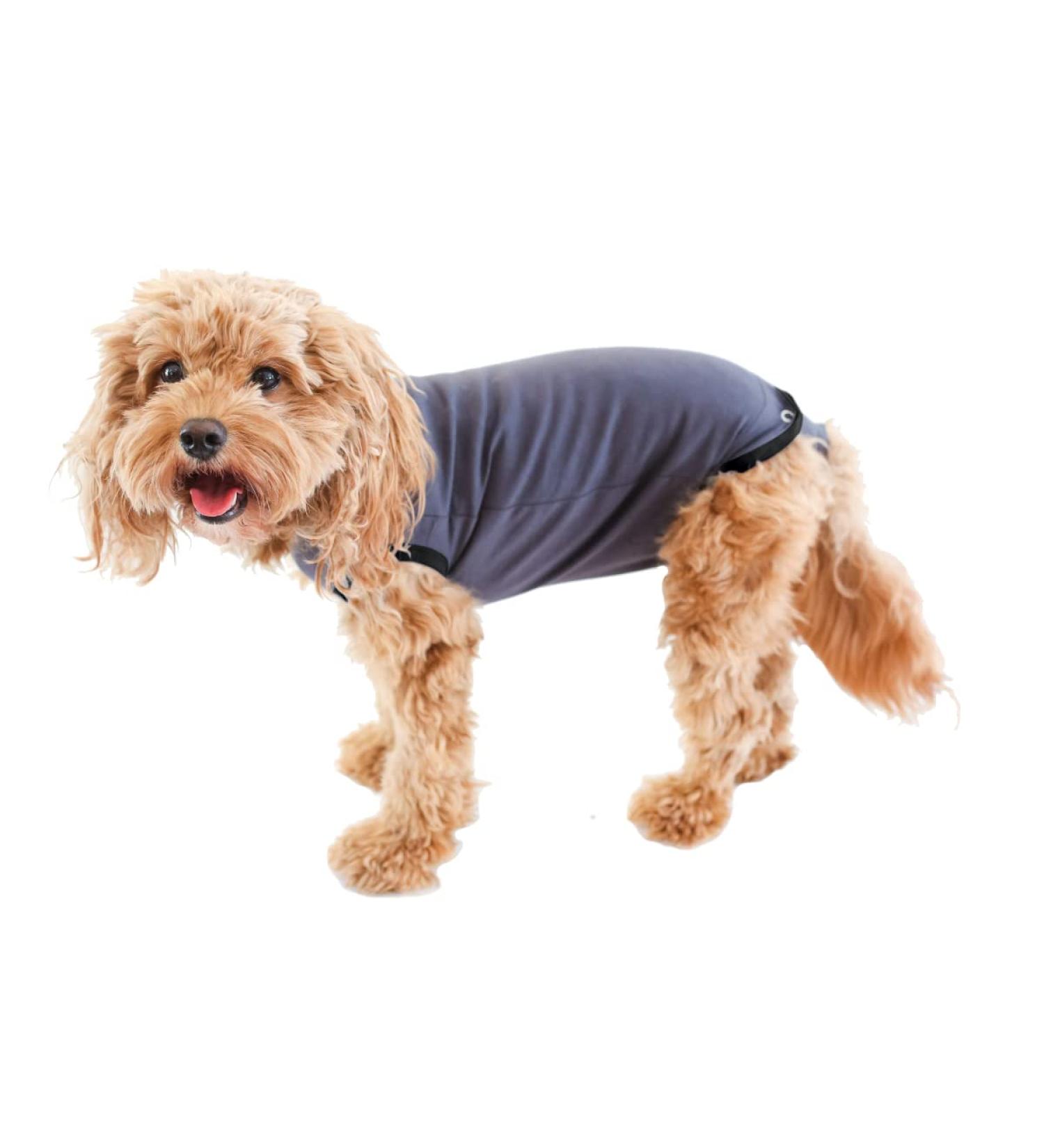 BellyGuard Dog Recovery Suit - Comfortable Cone Substitute for Dogs - Stretch-Fit Cotton Material - Adjustable Rear Flap - Medium Grey - Buy Online on GoSupps.com