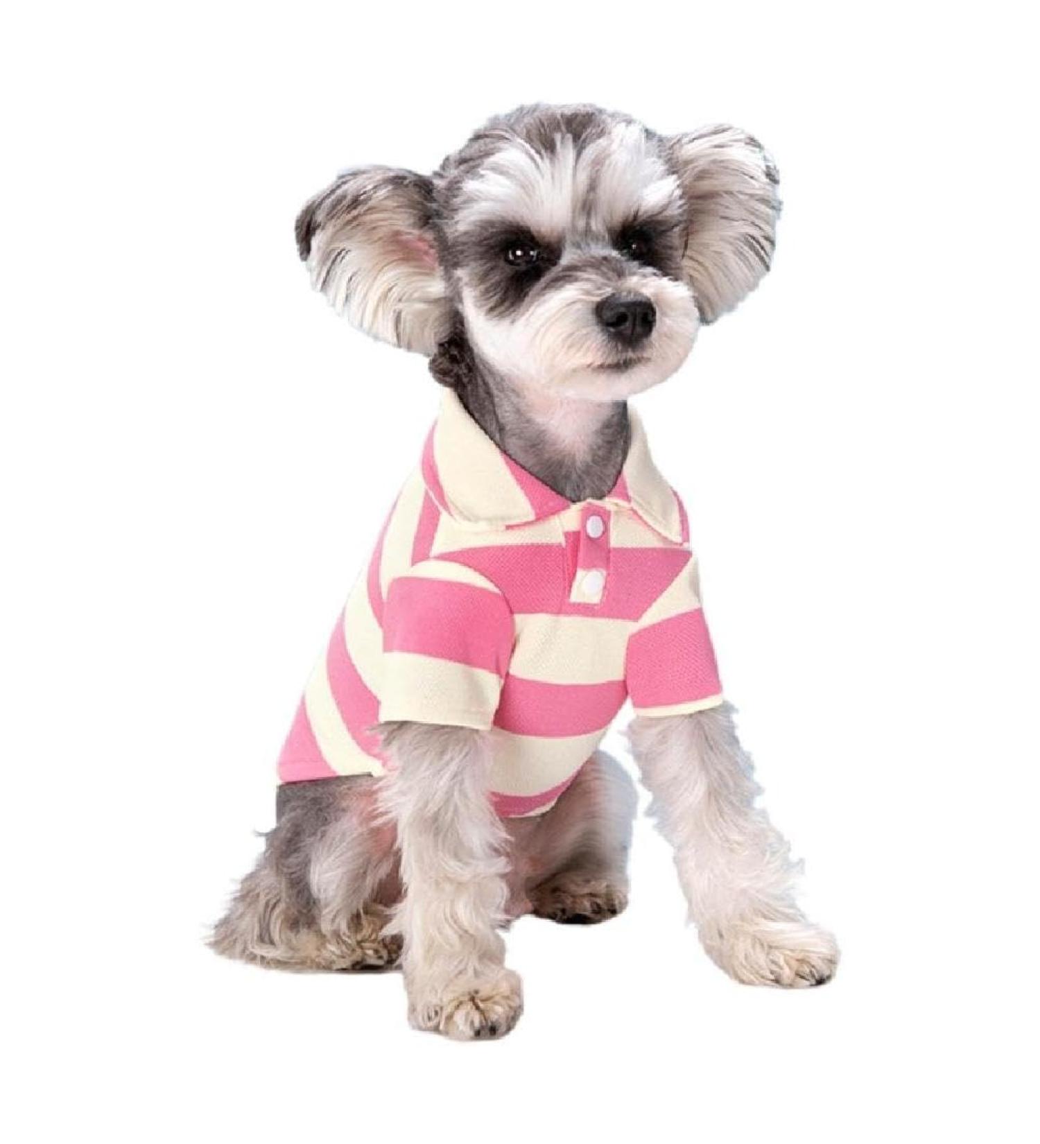 Stylish Two-Legged Polo Shirt for Small Dogs | Summer Striped Puppy Costume | Breathable Pink XL Bichon & French Bulldog Clothing - Buy Online on GoSupps.com