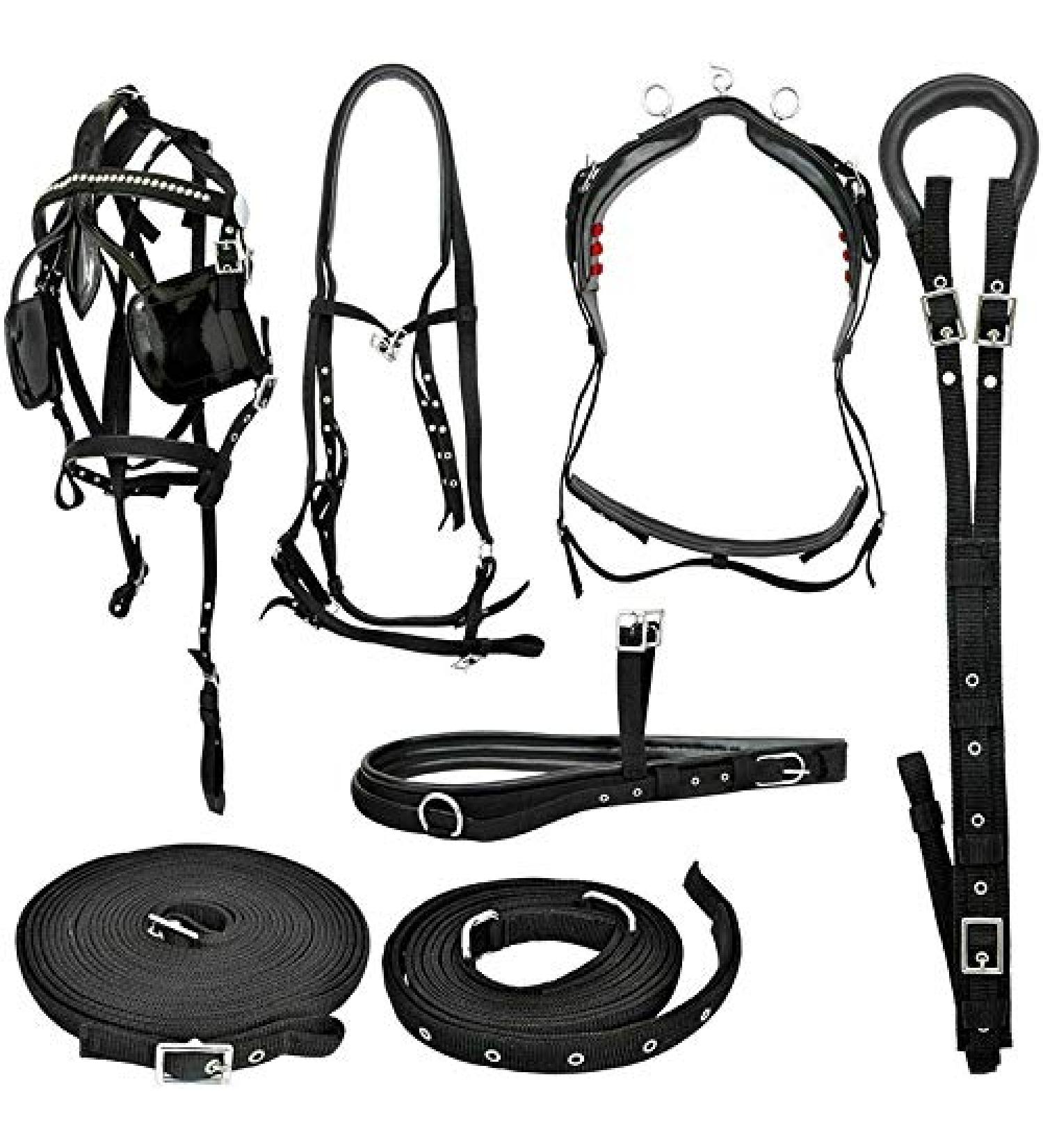 Blue Lake Horse Driving Harness in Black, Full Size - Premium Quality - Buy Online on GoSupps.com