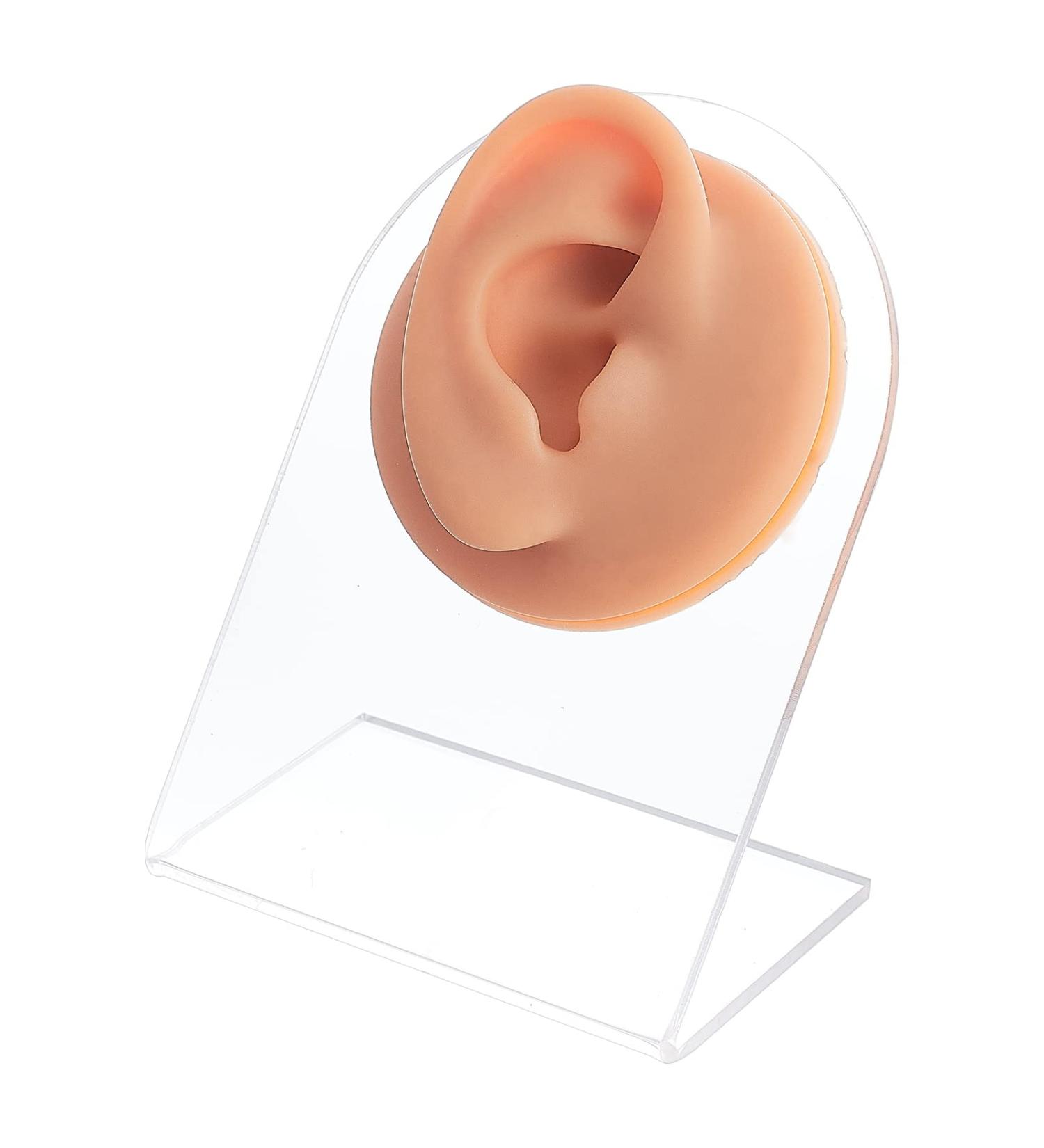 OLYCRAFT Right Ear Silicone Model for Jewelry Display and Piercing Practice - Buy Online on GoSupps.com