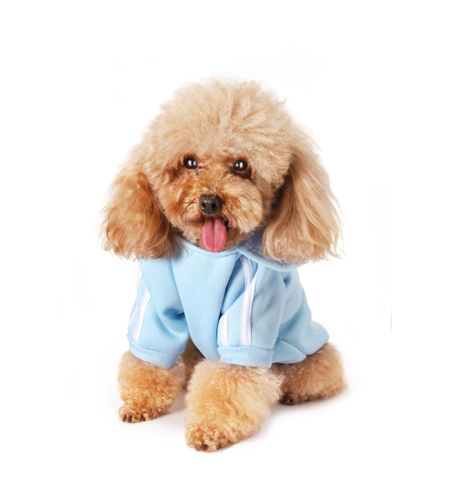 Cozy Light Blue Dog Sweater for Small Dogs | Cute Cotton Hoodie & Pullover for Puppies & Cats - Warm Pet Coat - Buy Online on GoSupps.com