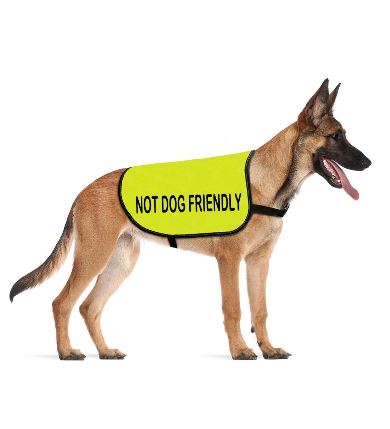 Funny Dog Jacket - High Visibility Safety Vest Size L | Not Dog Friendly EU - Buy Online on GoSupps.com