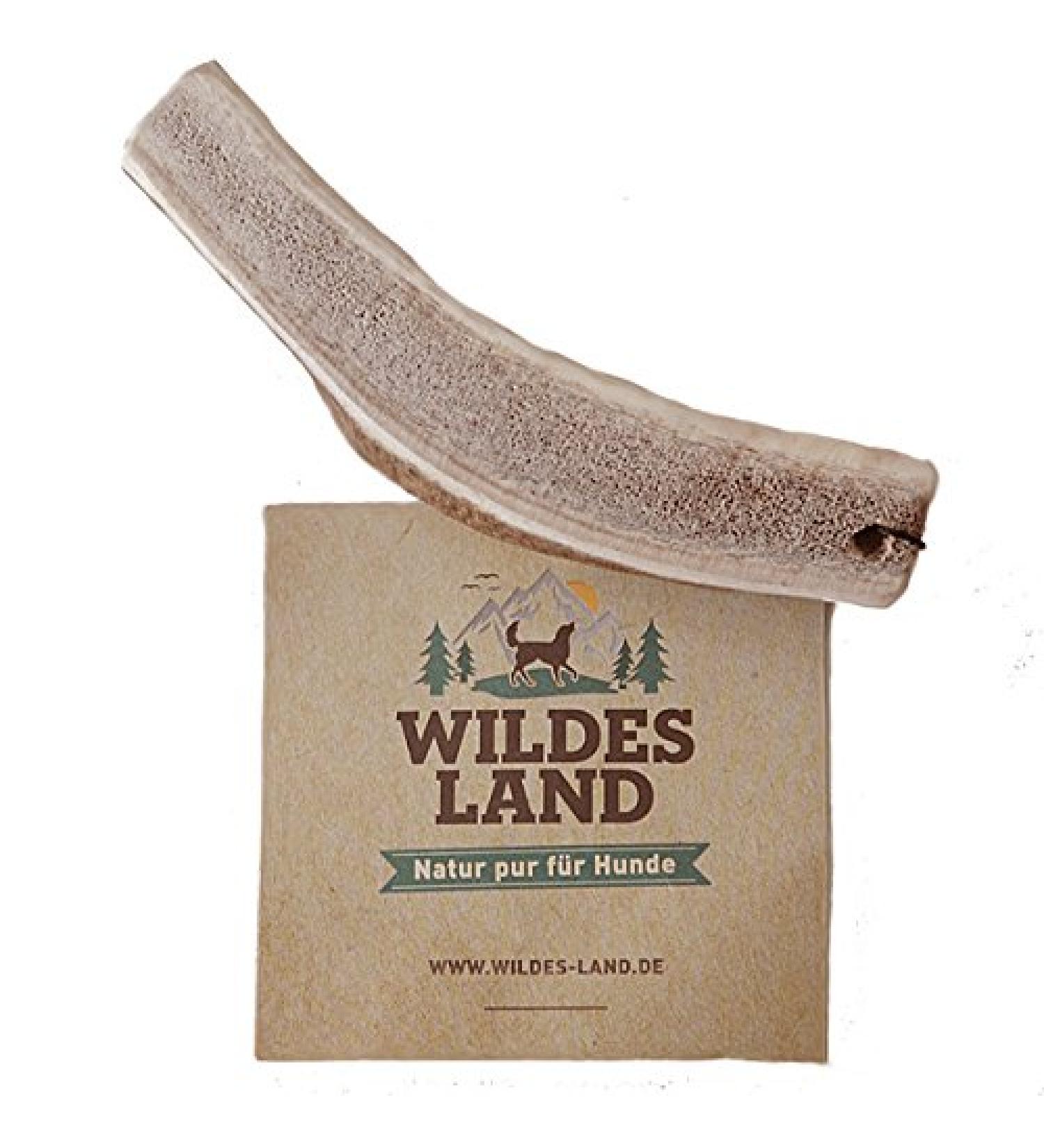 Wild Land - Hirschweih half - M - naturally thrown away antlers - pure natural product without additives - odorless does not splinter - supports the tooth cleaning - antlers