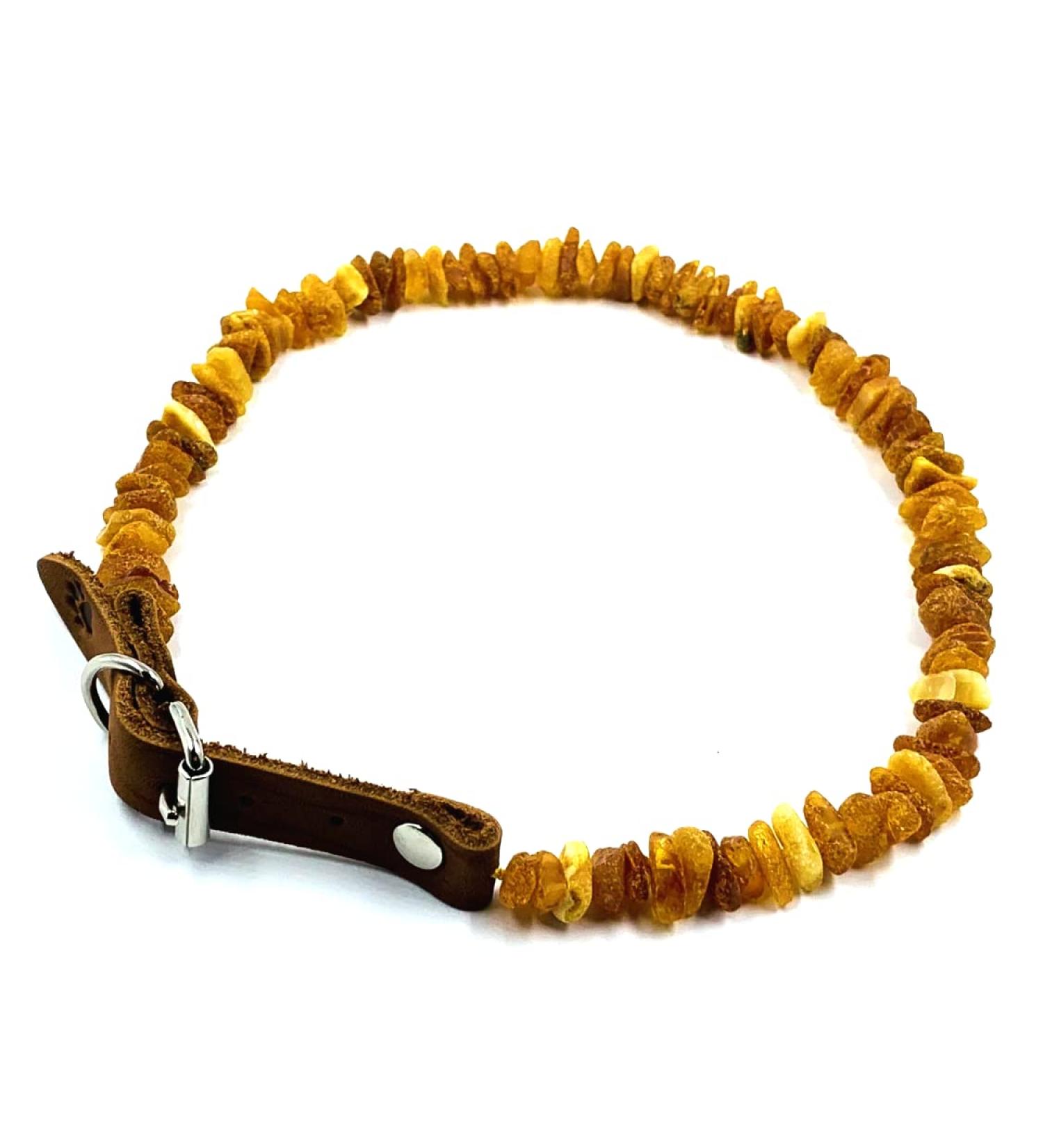 Amber Jewelry Shop Amber Necklace for Dogs Amber Collar for Dogs Natural Baltic Amber Beads 35-40 - Buy Online on GoSupps.com
