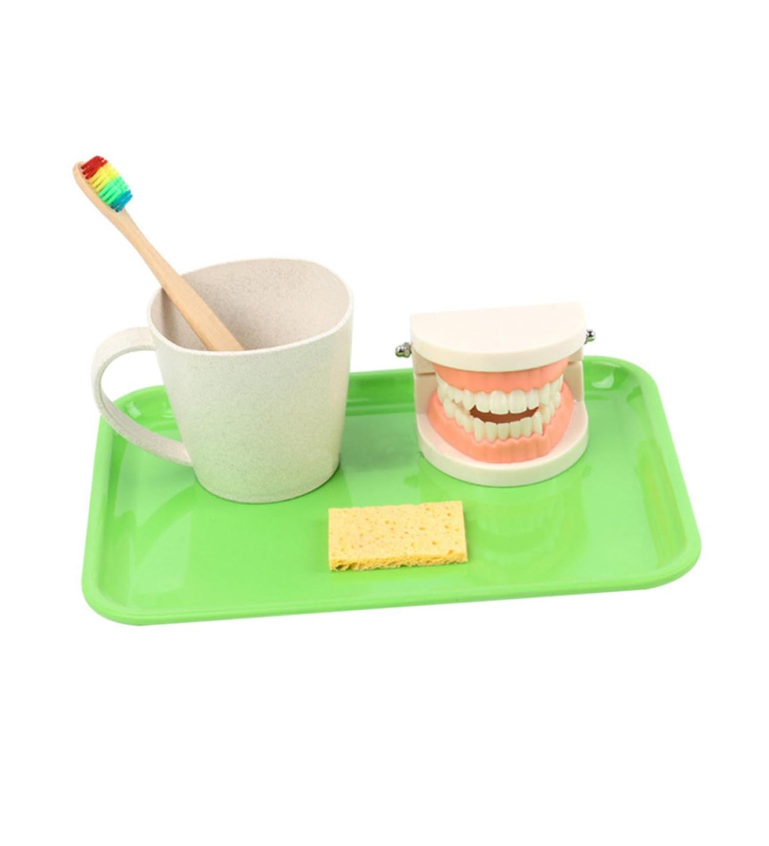 Buy Beavorty Learning Toothbrush Toys for Early Teething | Pedagogical Tooth Cleaning Model for Preschool - Buy Online on GoSupps.com