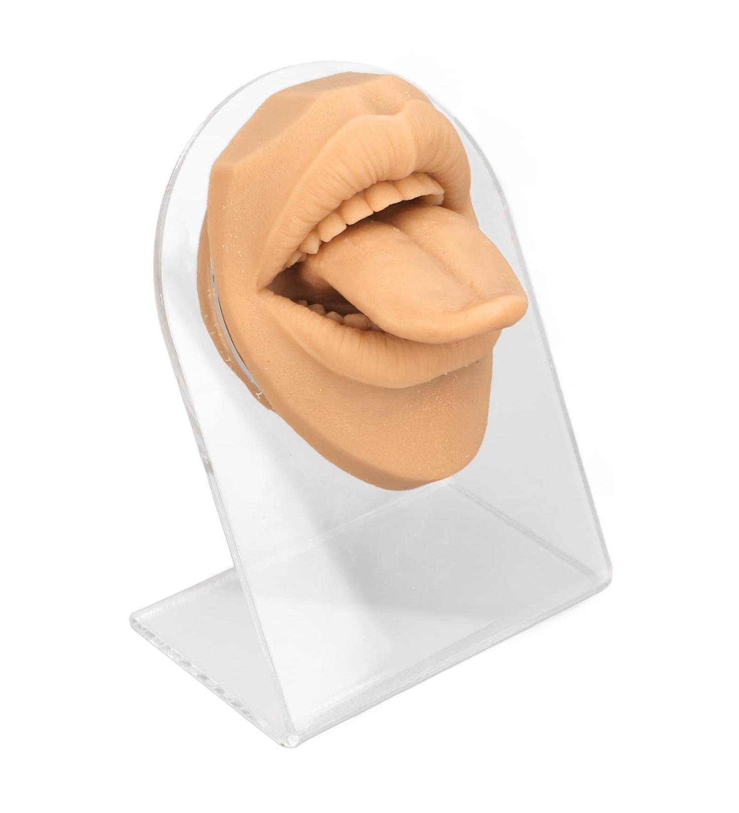 Realistic Tongue Model for Research | Lifelike Tongue Mouth Model with Acrylic Holder - Skin Color - Buy Online on GoSupps.com