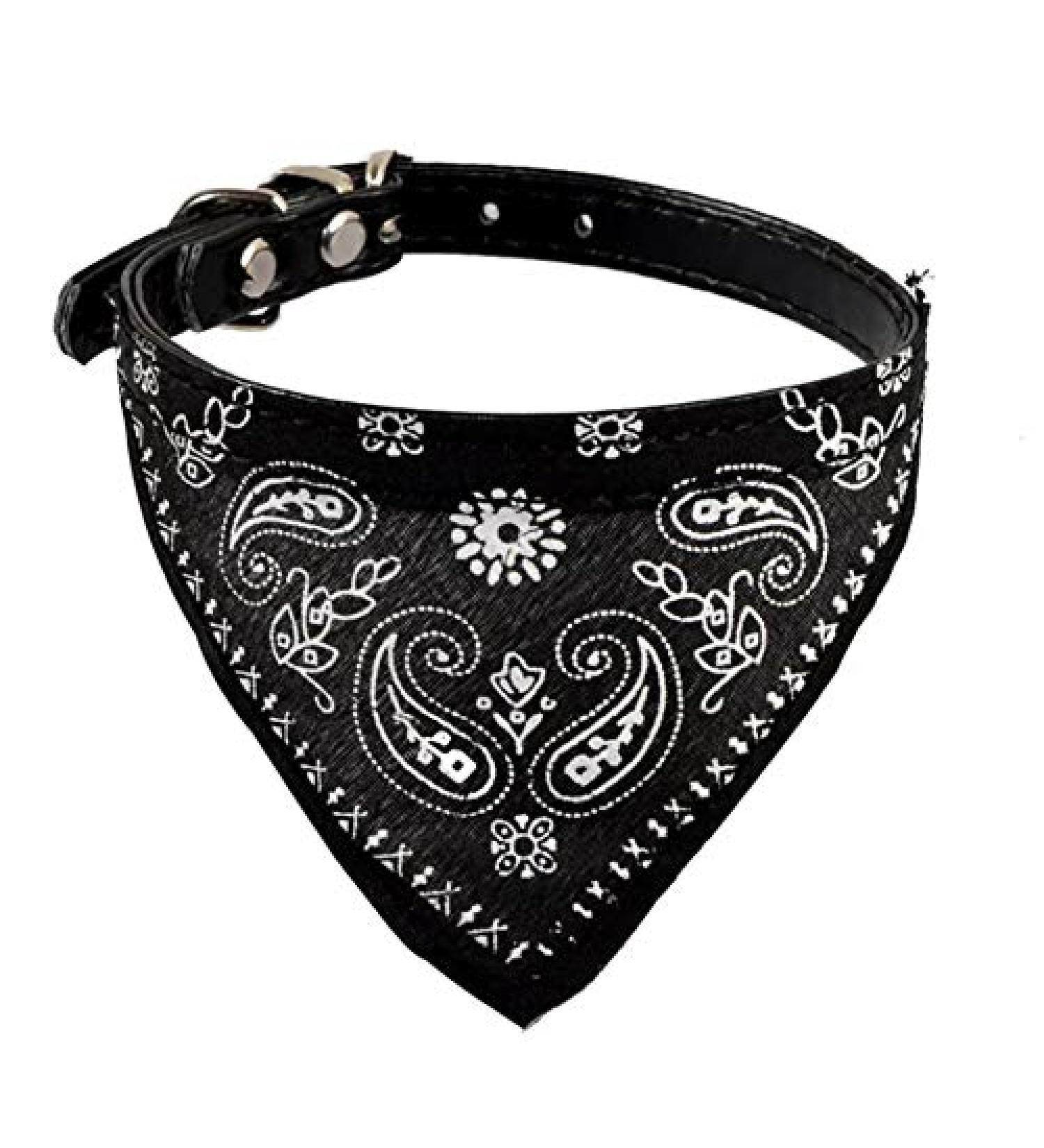 Buy Stylish Black Paisley Cat Collar with Bandana & Buckle - Size S (20-26cm) - International Shipping Available - Buy Online on GoSupps.com