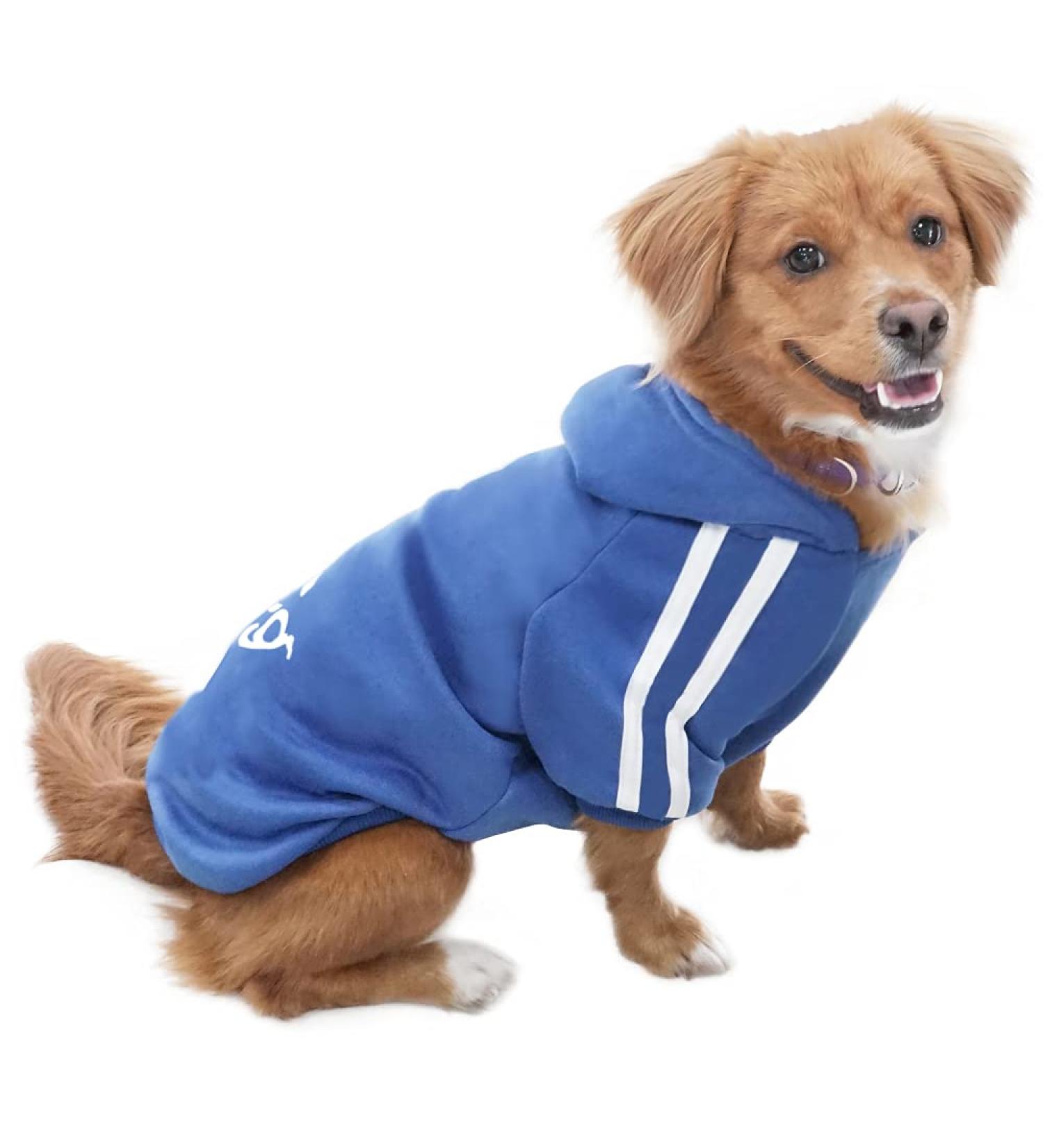 Eastlion Dog Sweater - Warm Puppy T-Shirt & Pullover Coat | Sapphire Blue Size MM | Stylish Pet Apparel - Shop Internationally! - Buy Online on GoSupps.com