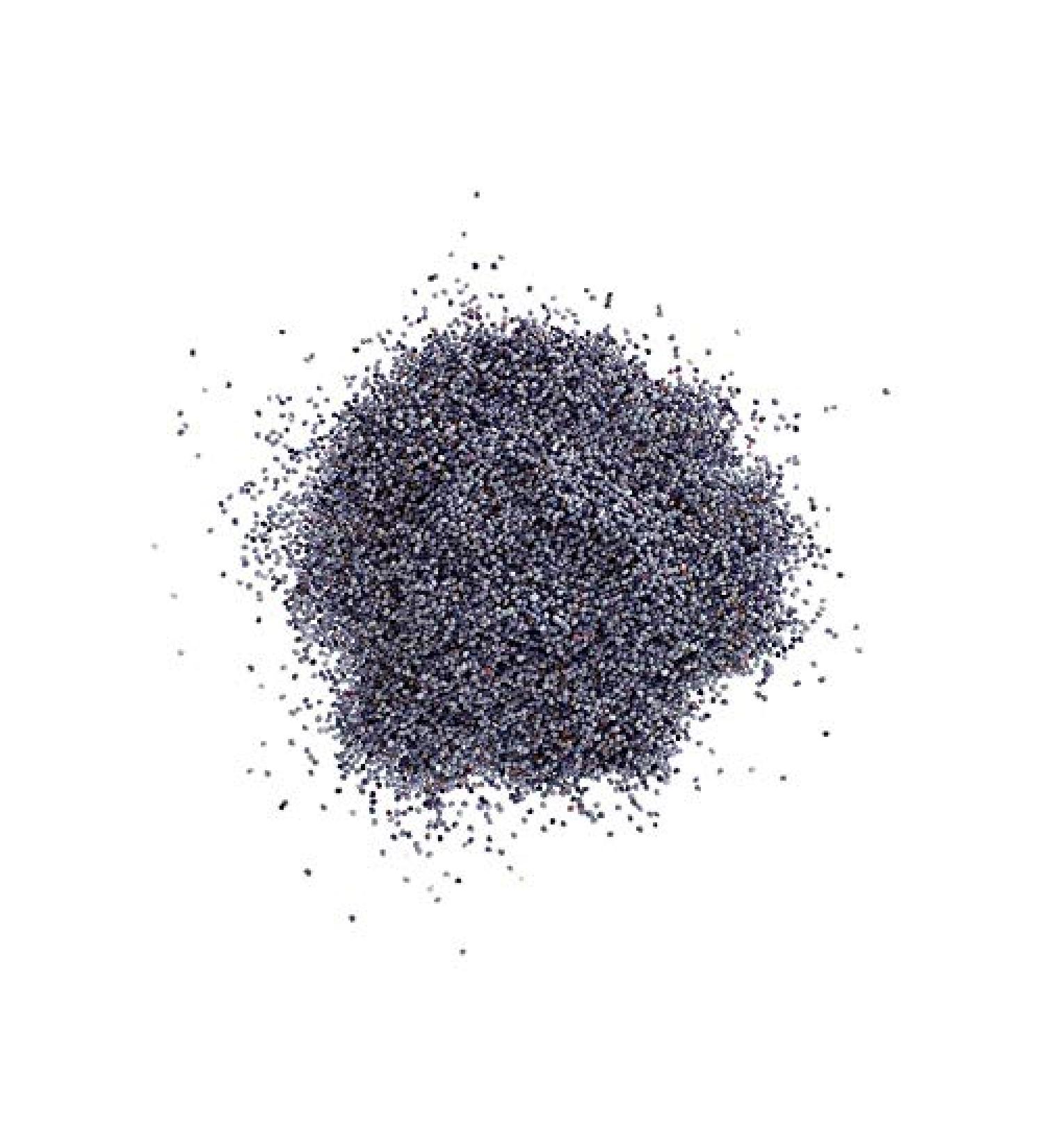  Shopper's Freedom Organic Black Blue Poppy Seeds 500g - Buy Online on GoSupps.com