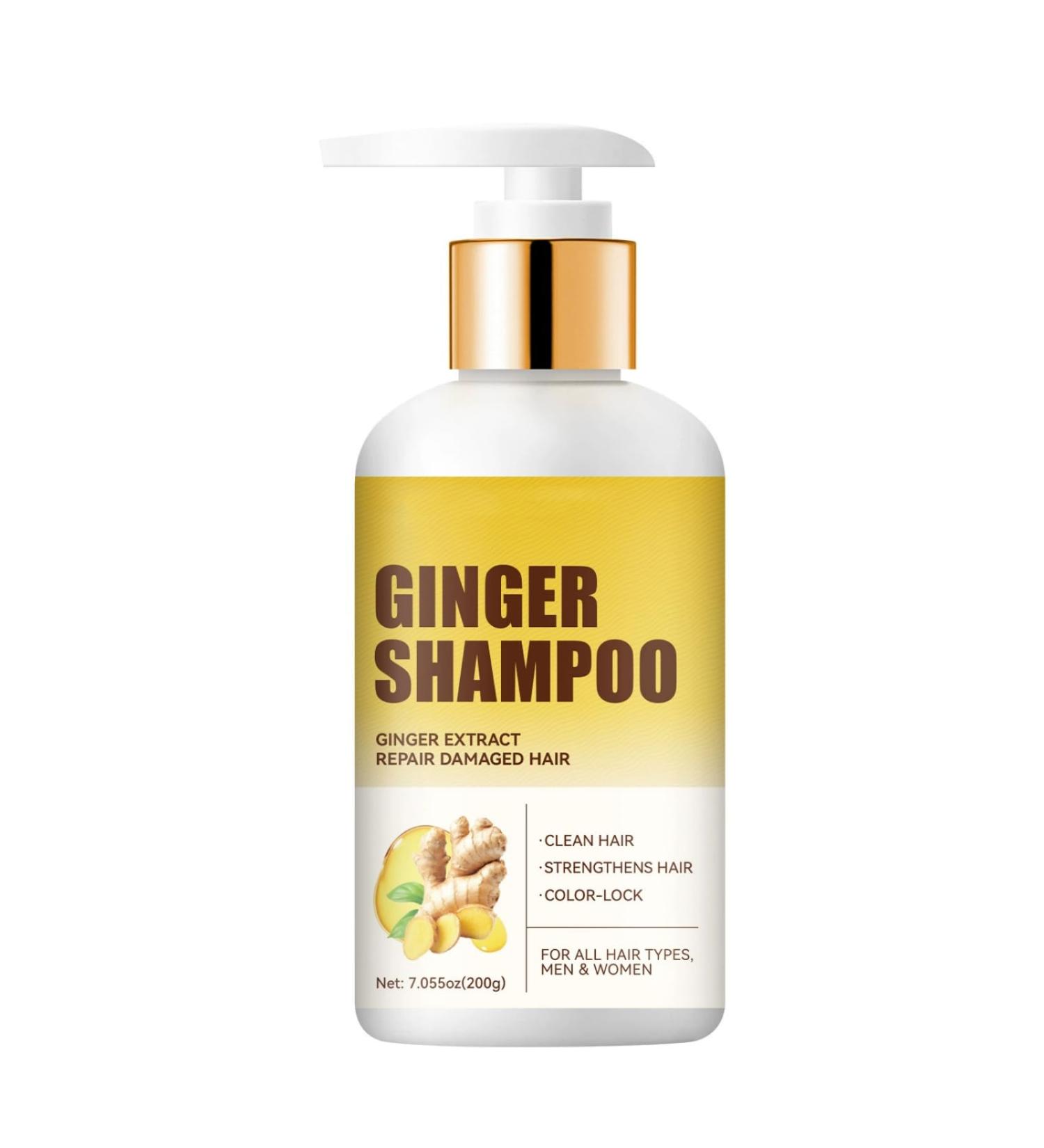 Shampooing naturel au gingembre avec huile de noix de coco pour la croissance et la r paration des cheveux renforce les cheveux ab m s contr le des frisottis renforce l'hydratation et les - Buy Online on GoSupps.com