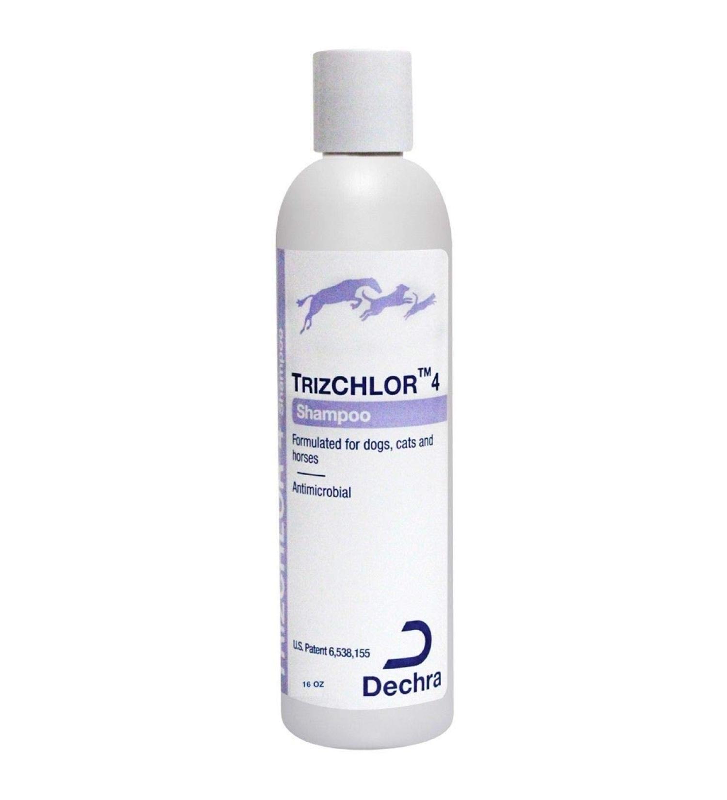 Dechra Topical TrizCHLOR 4 Shampoo (16oz) for Dogs, Cats & Horses | Model 1810123 - Buy Online on GoSupps.com