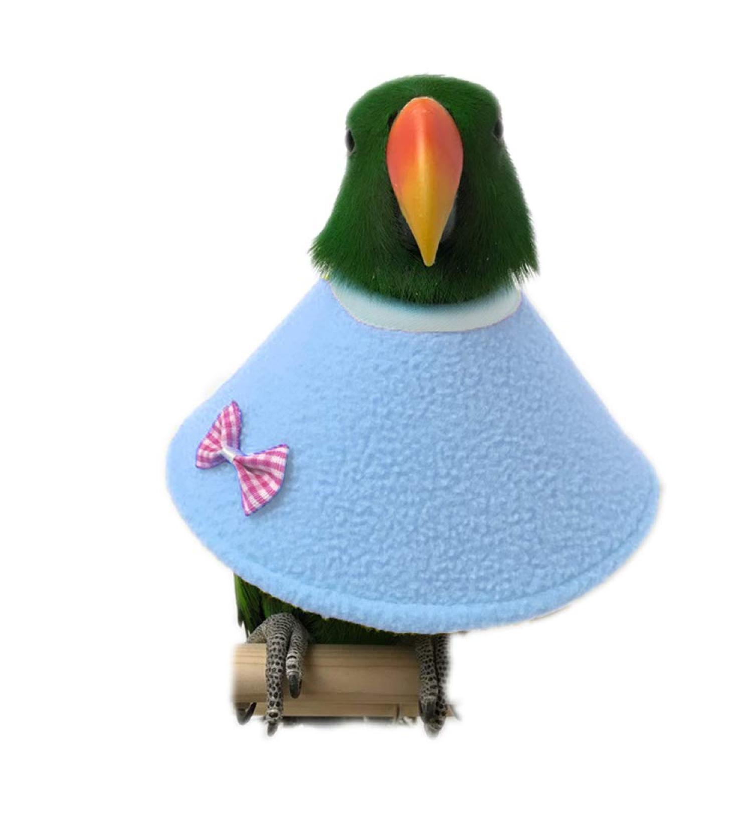 NashaFeiLi Pet Collar Elizabethan Bird Collar Parrot Recovery Collar for Sun Conures Macaws Love Birds (L Blue) L Blue - Buy Online on GoSupps.com