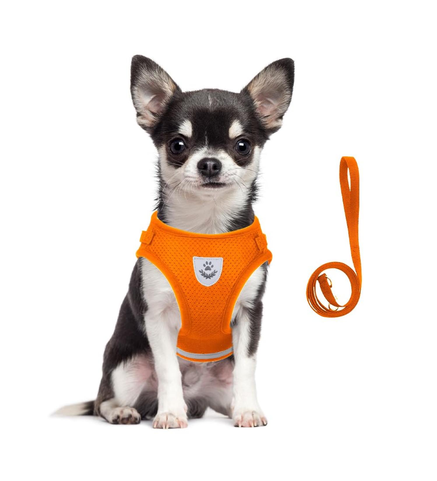 Meioro Reflective Dog Harness Adjustable & Padded for XS Dogs & Cats | Outbreak-Proof Lightweight Anti-Pull Design in Orange - Buy Online on GoSupps.com