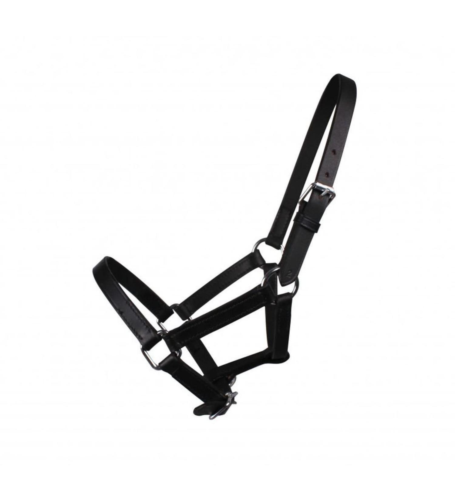 QHP Chico leather halter foal size:2 color:black Shetland foal black