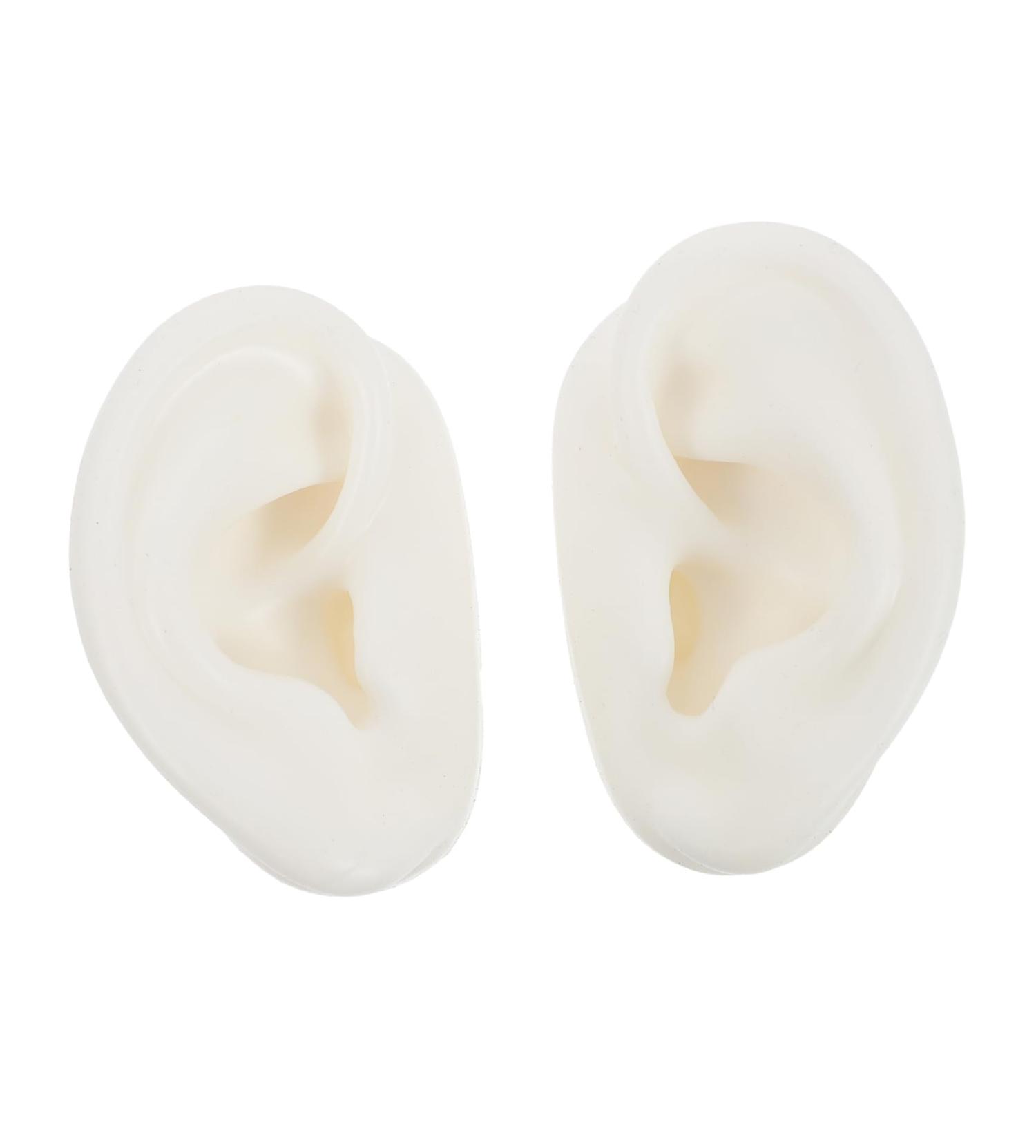 Healvian 2 Pairs Artificial Ear Models for Earrings | Silicone Right Ear Imitation | Perfect for Piercing & Body Training Tools - Buy Online on GoSupps.com