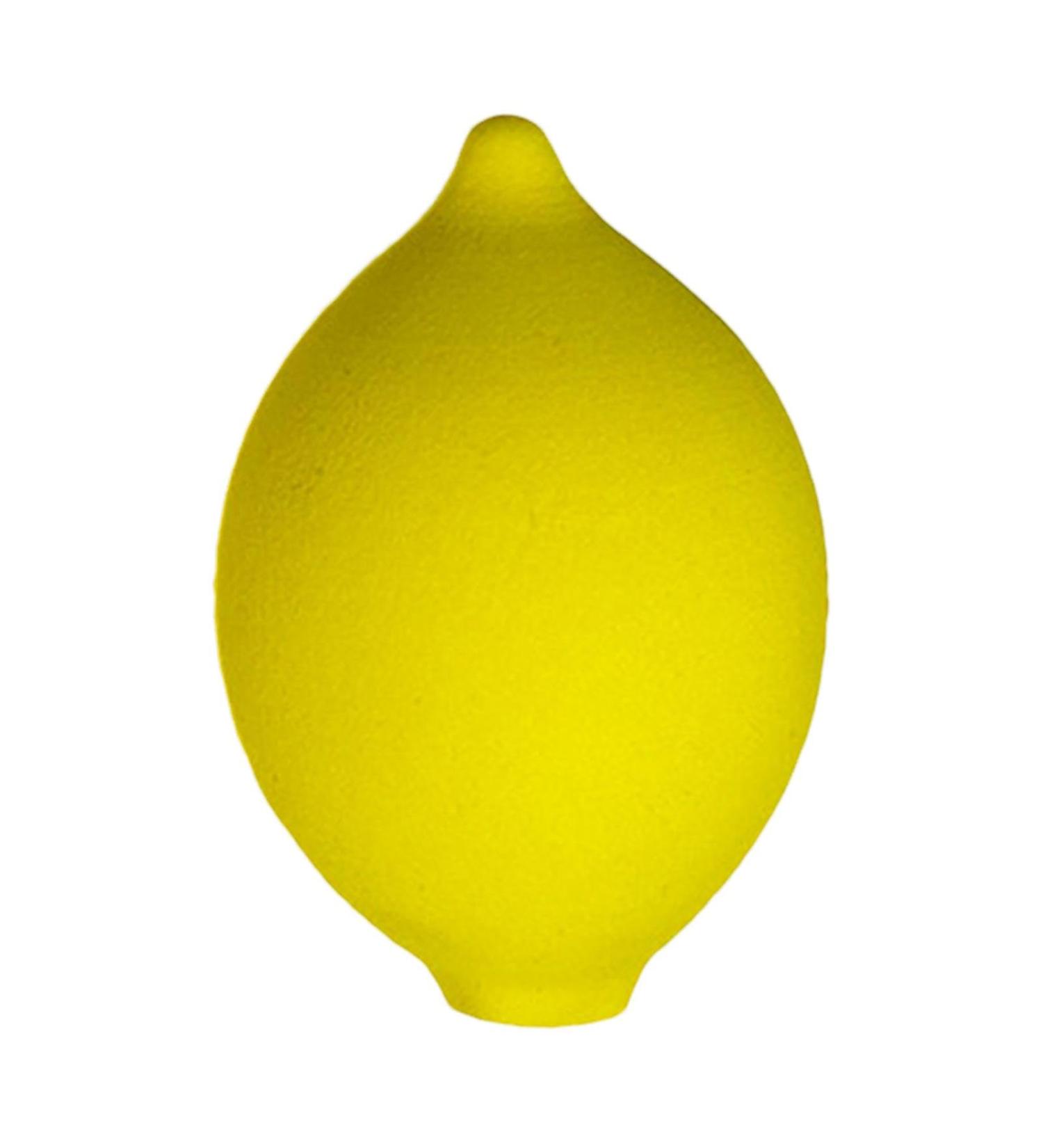 scyca Fruit Shaped Cosmetic Sponge Blender Foundation Beauty Sponge Cute Fruit Shape Makeup Sponge Versatile Makeup Blender Multipurpose Tool for Makeup Beginners and lemon beauty egg - Buy Online on GoSupps.com