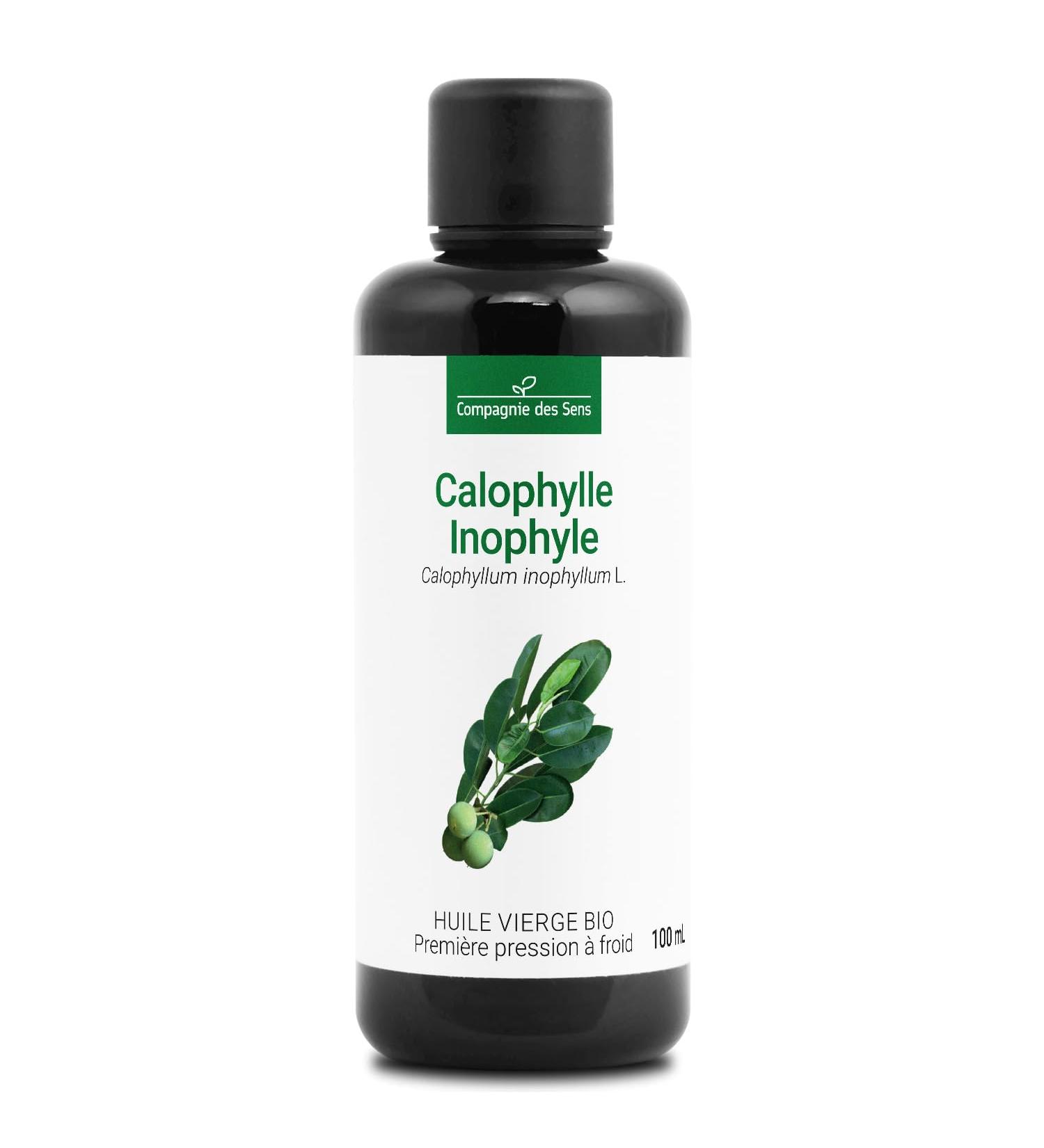 Calophyll Inophyl Organic Virgin Vegetable Oil Glass Bottle Cold Pressure 100 ml - Buy Online on GoSupps.com