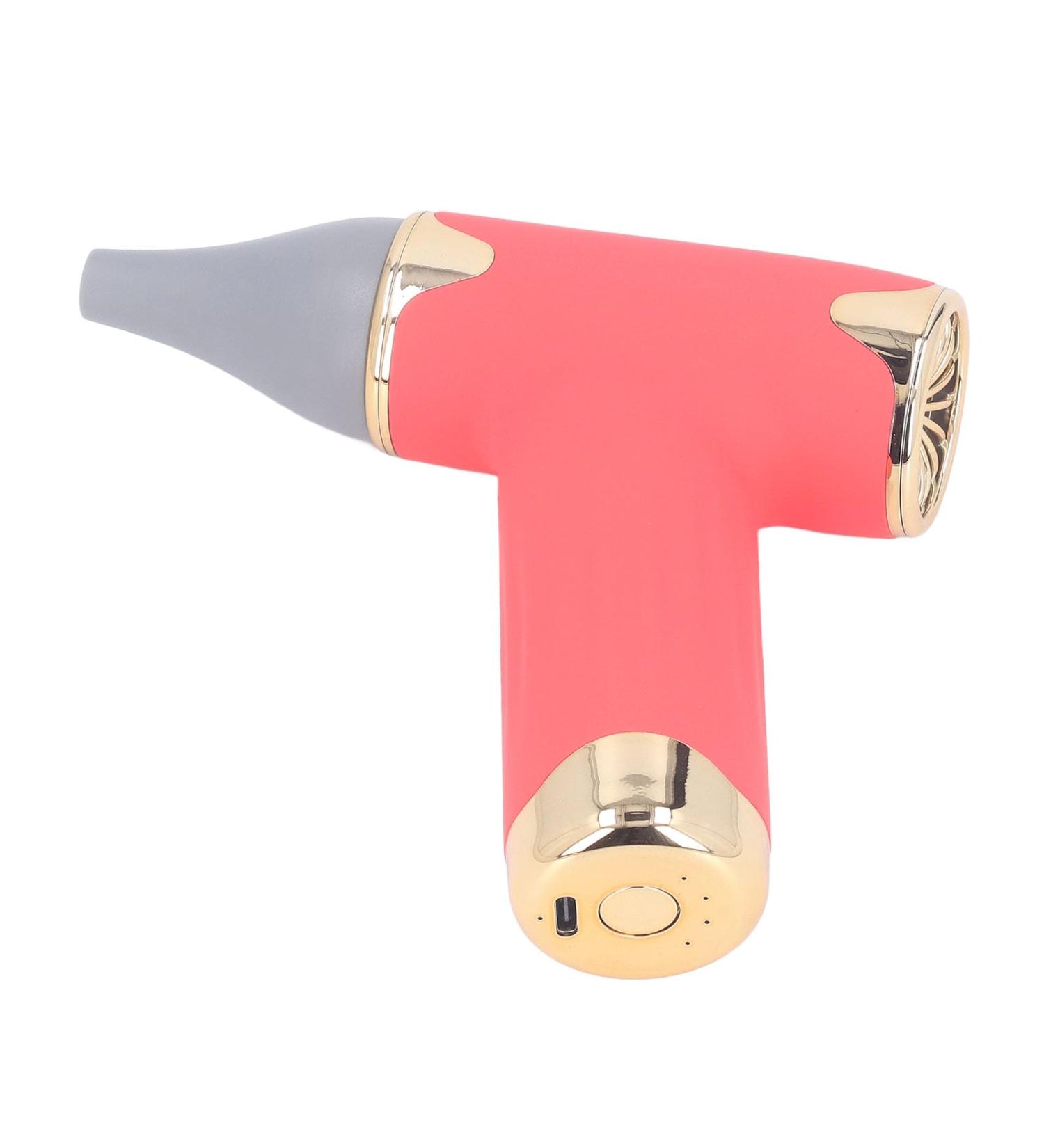 Hair Dryer Mini Dust Blower Easy To Carry 4 Levels Wind for Home for Outdoor for Cats Dogs (Red) - Buy Online on GoSupps.com