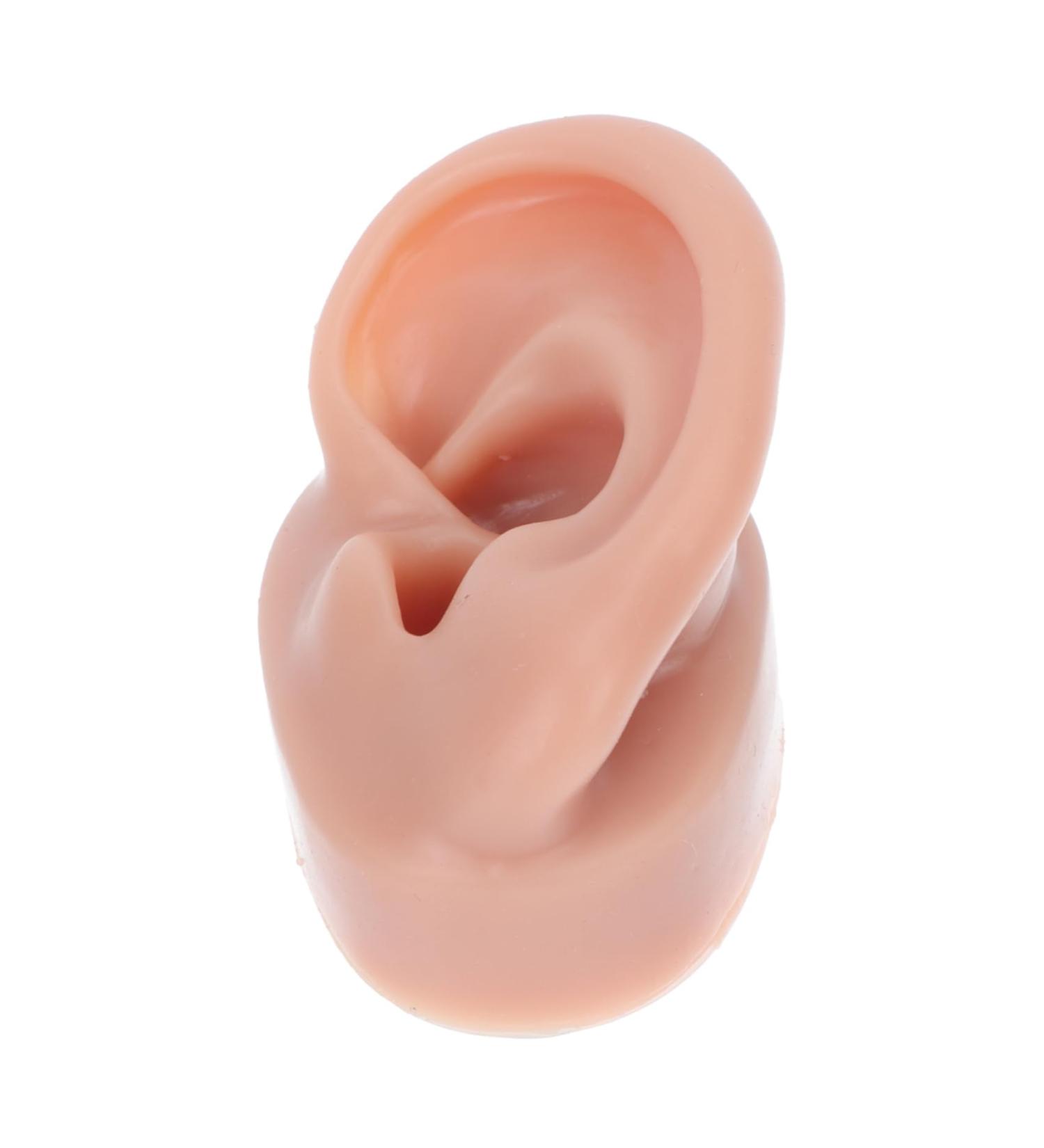 Angoily Human Ear Acupuncture Model - 1pc Silicone Display Ear Simulator for Massage & Learning | 6.5x3.5cm - Buy Online on GoSupps.com