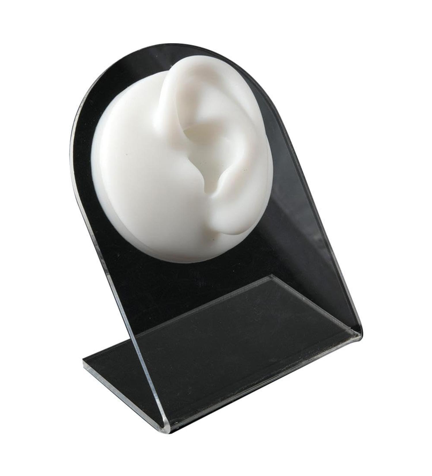 Soft Silicone Mouth&Nose Model Human Ear Mouth Eye Tongue Navel Model Display Simulation for Je Teaching Tools Props Display - Buy Online on GoSupps.com