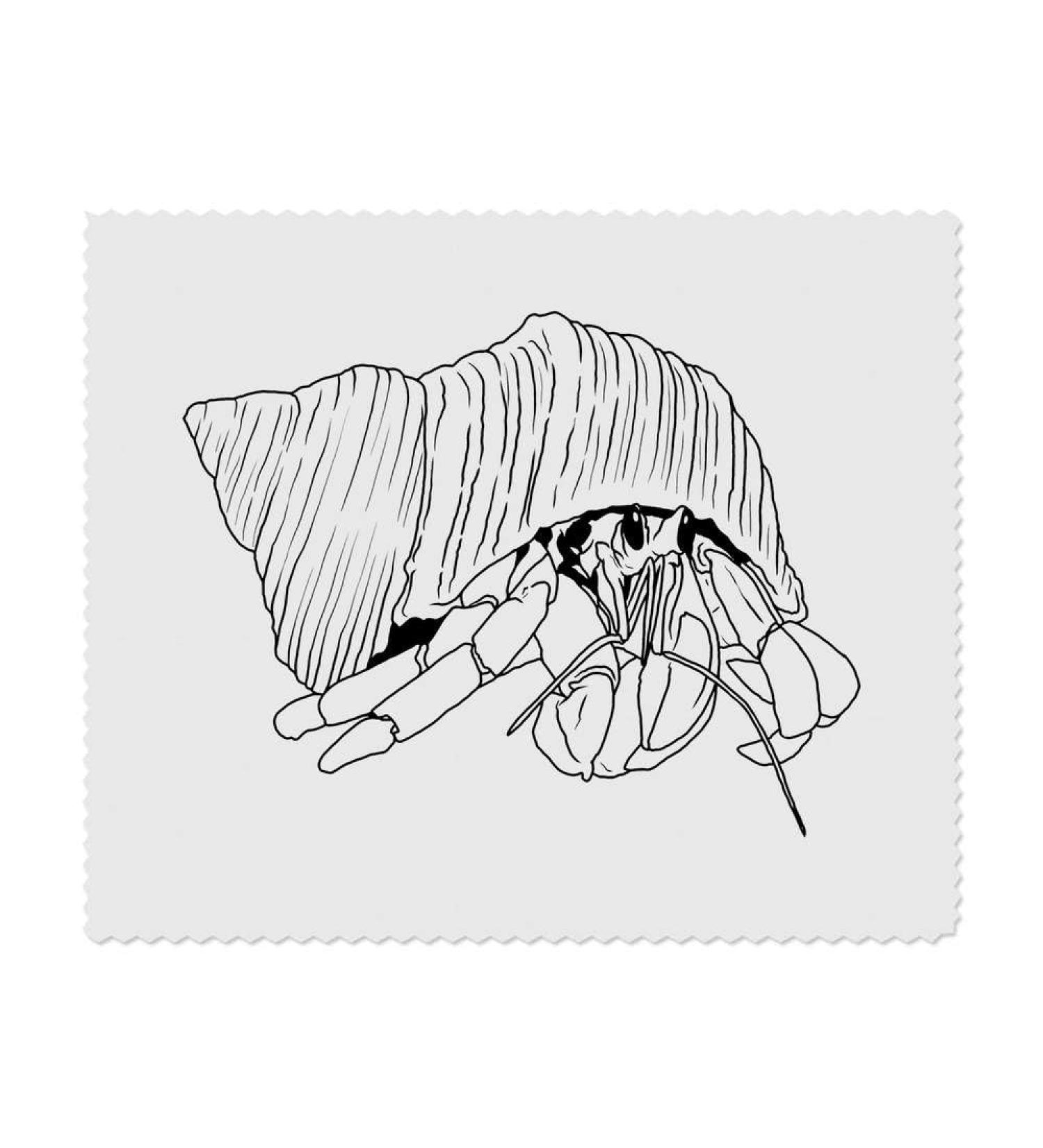 Buy 2 x Hermit Crab Microfiber Lens & Glasses Cloths Ultimate Cleaning Solution for Your Eyewear | Fast International Shipping - Buy Online on GoSupps.com