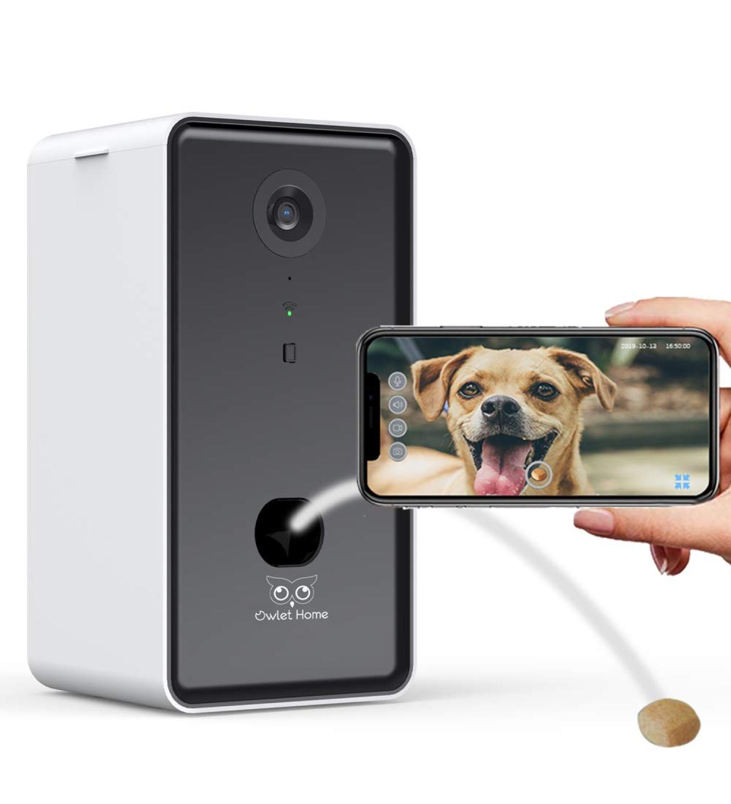 Owlet Home Pet Camera with Treat Dispenser Tossing | 1080P Camera, WiFi, Night Vision | Alexa Compatible for Dogs/Cats - Buy Online on GoSupps.com
