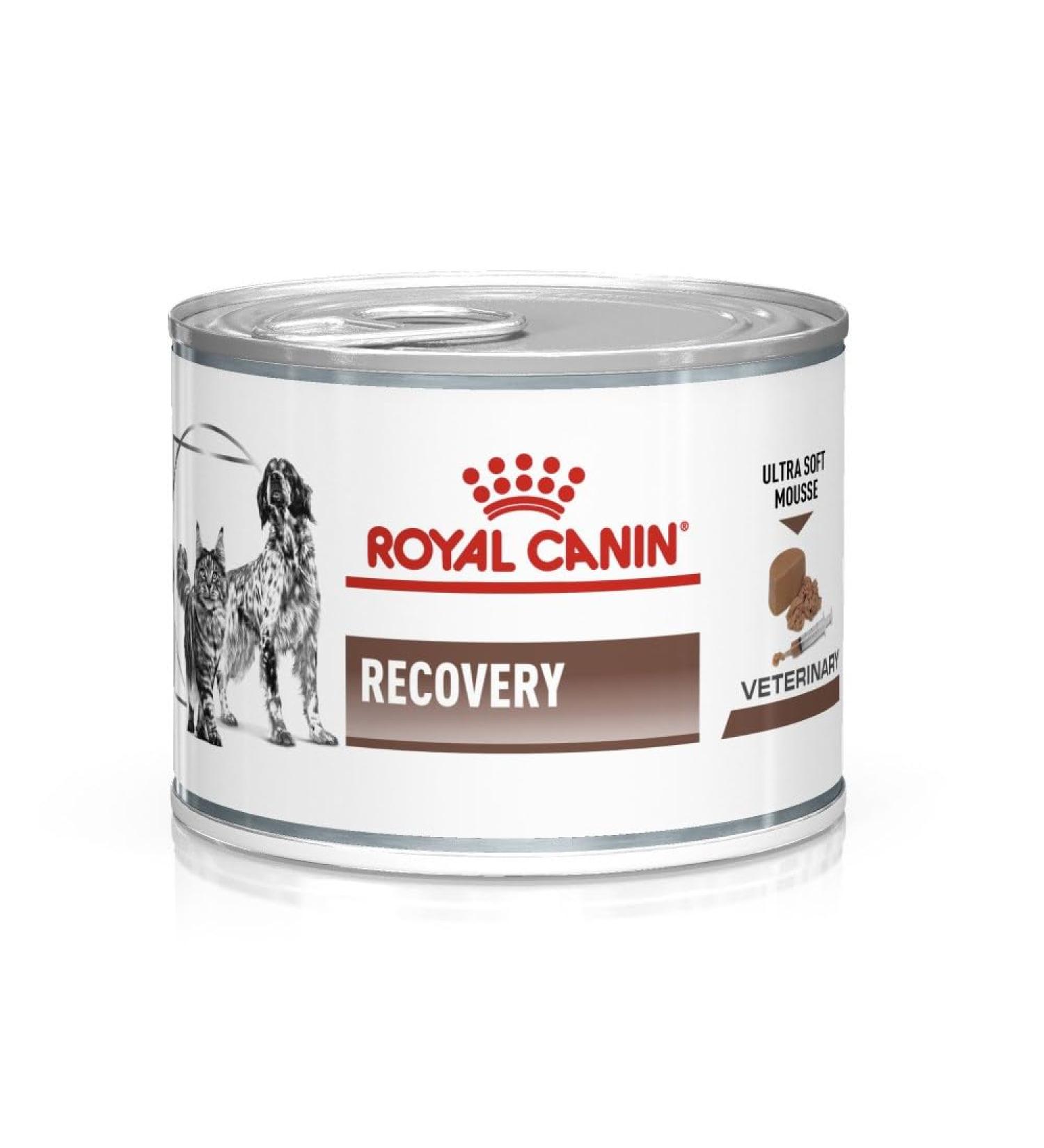 Royal Canin Veterinary Diet Recovery Dog/Cat Food