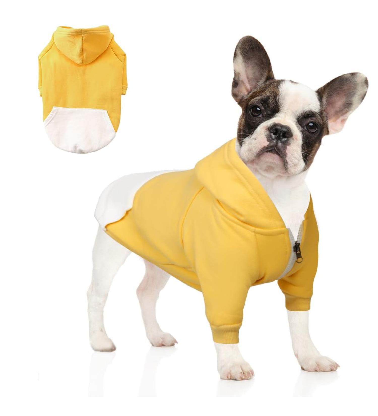 Shop Cute XL Yellow Zipper Hooded Pet Clothes for Dogs & Cats - Warm French Bulldog & Pug Apparel - Buy Online on GoSupps.com