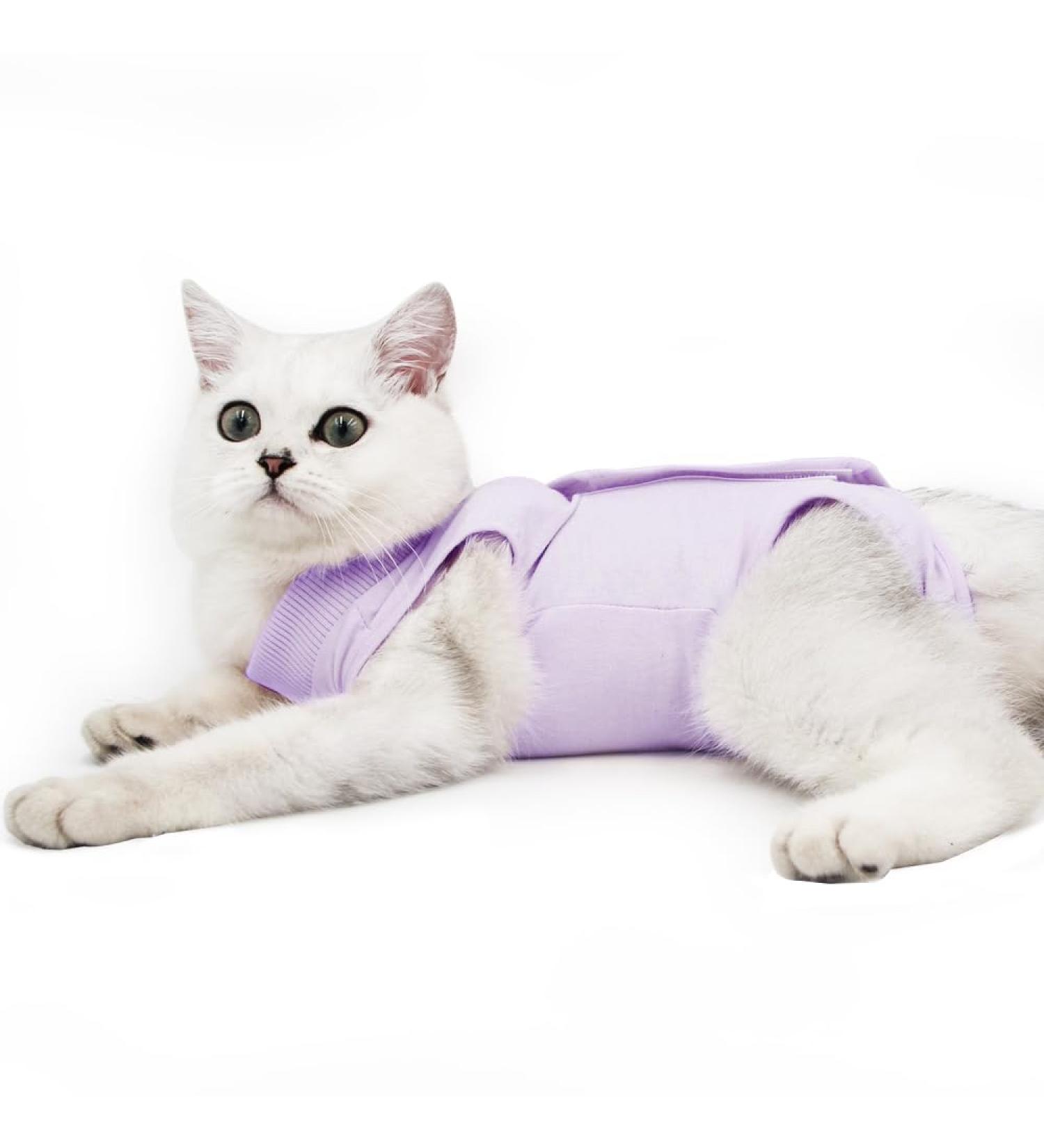 Buy Dotoner Katzenbody - Post-Surgery Anti-Trolling Cat Clothing | Recovery Suit for Cats & Dogs | Size L Purple - International Shipping Available - Buy Online on GoSupps.com