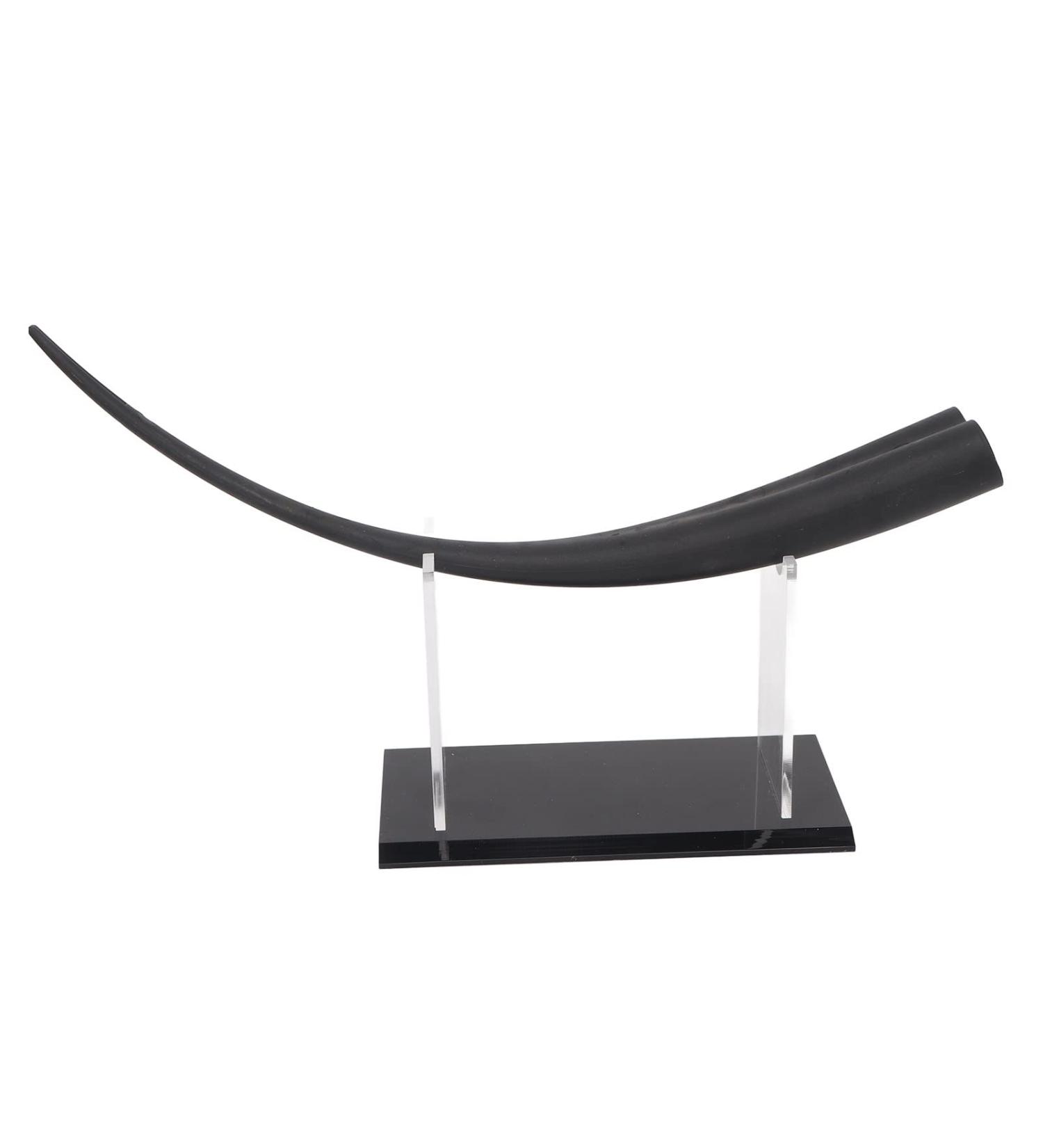 Large Eyelash Teaching Display Model - Double Tip Training Tool with Acrylic Stand for Professionals - Buy Online on GoSupps.com