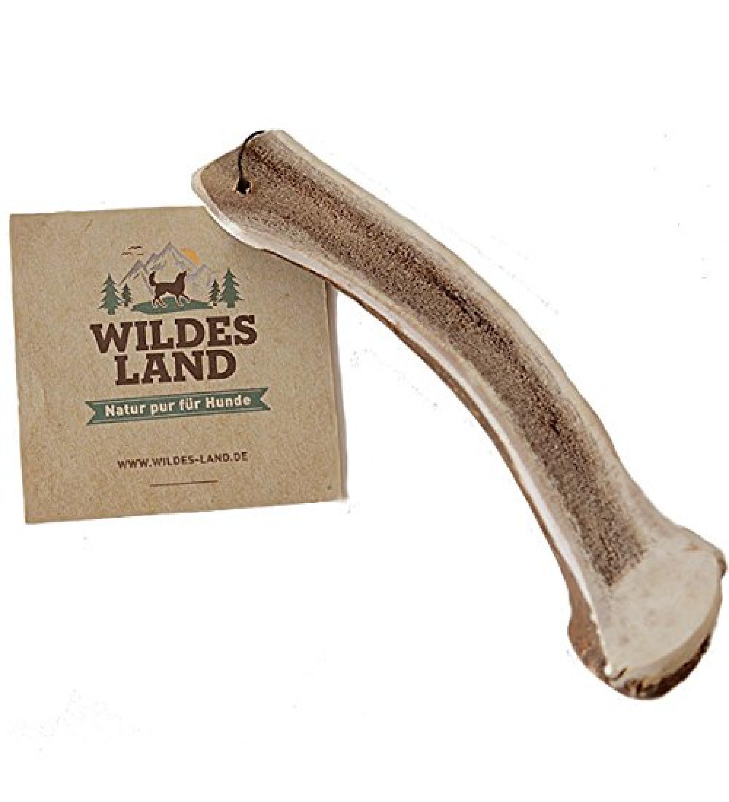Wild Land - Hirschweih Half - L - naturally thrown away antlers - pure natural product without additives - odorless does not splinter - supports the tooth cleaning - antlers