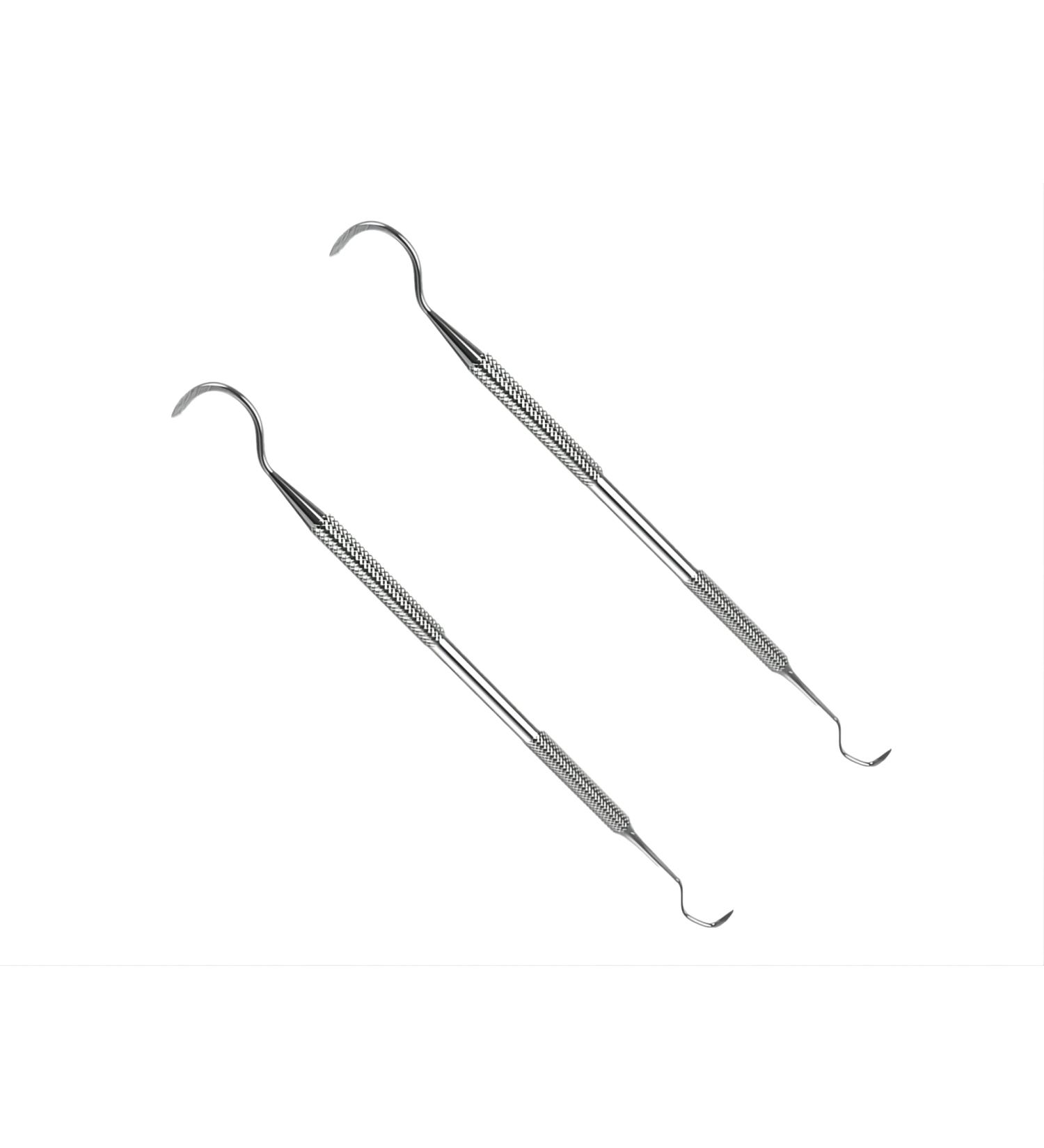 2pcs Stainless Steel Dental Plaque Remover Tool - Tooth Scraper for Tartar & Teeth Cleaning - Buy Online on GoSupps.com